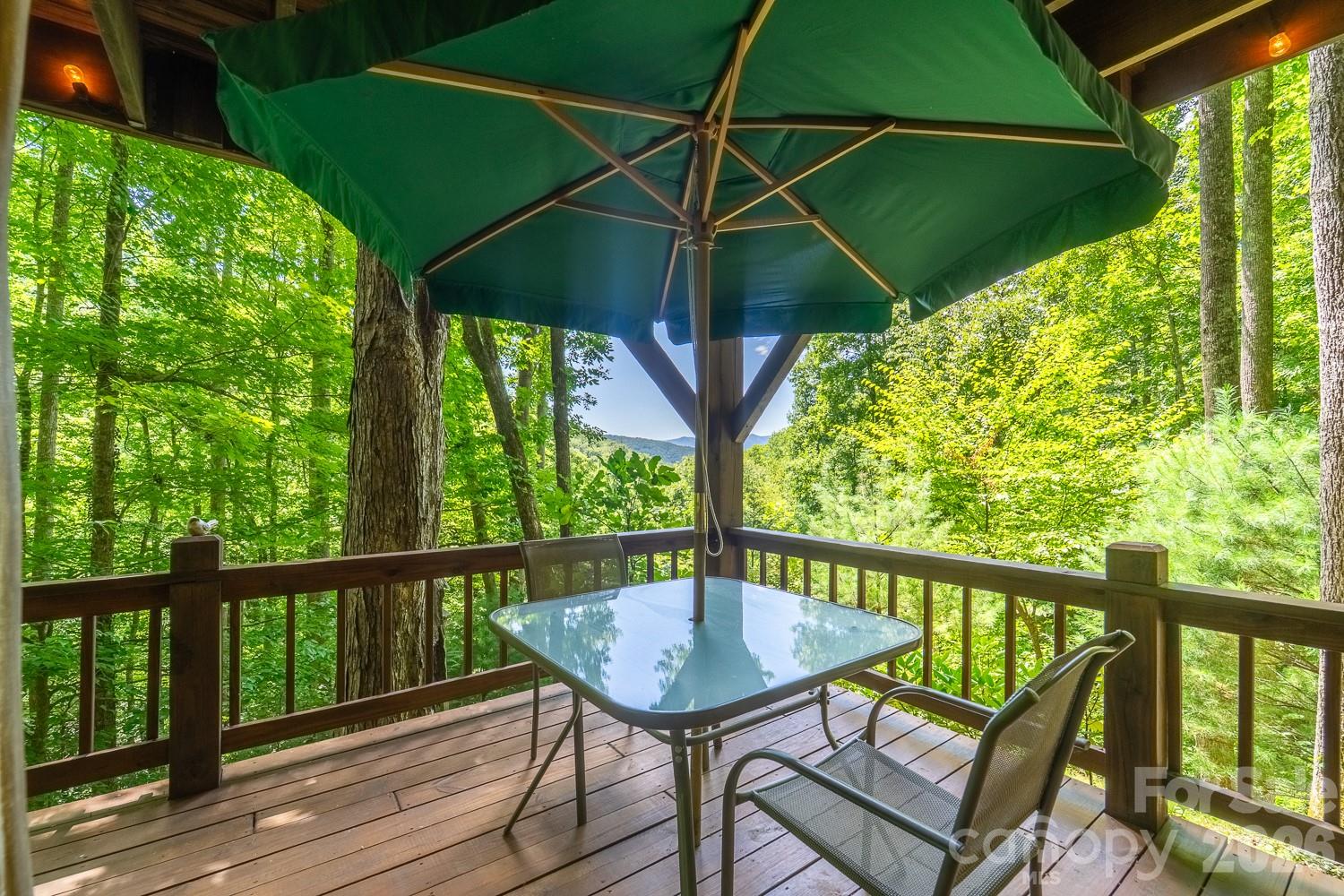 204 Mountain Laurel Drive — Bryson City