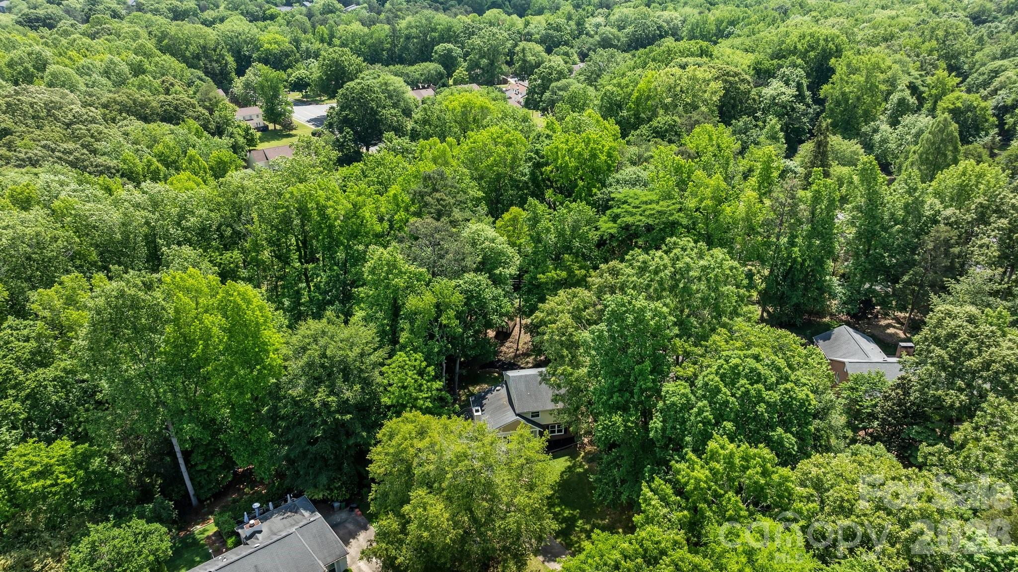 6713 William Harry Court — Charlotte