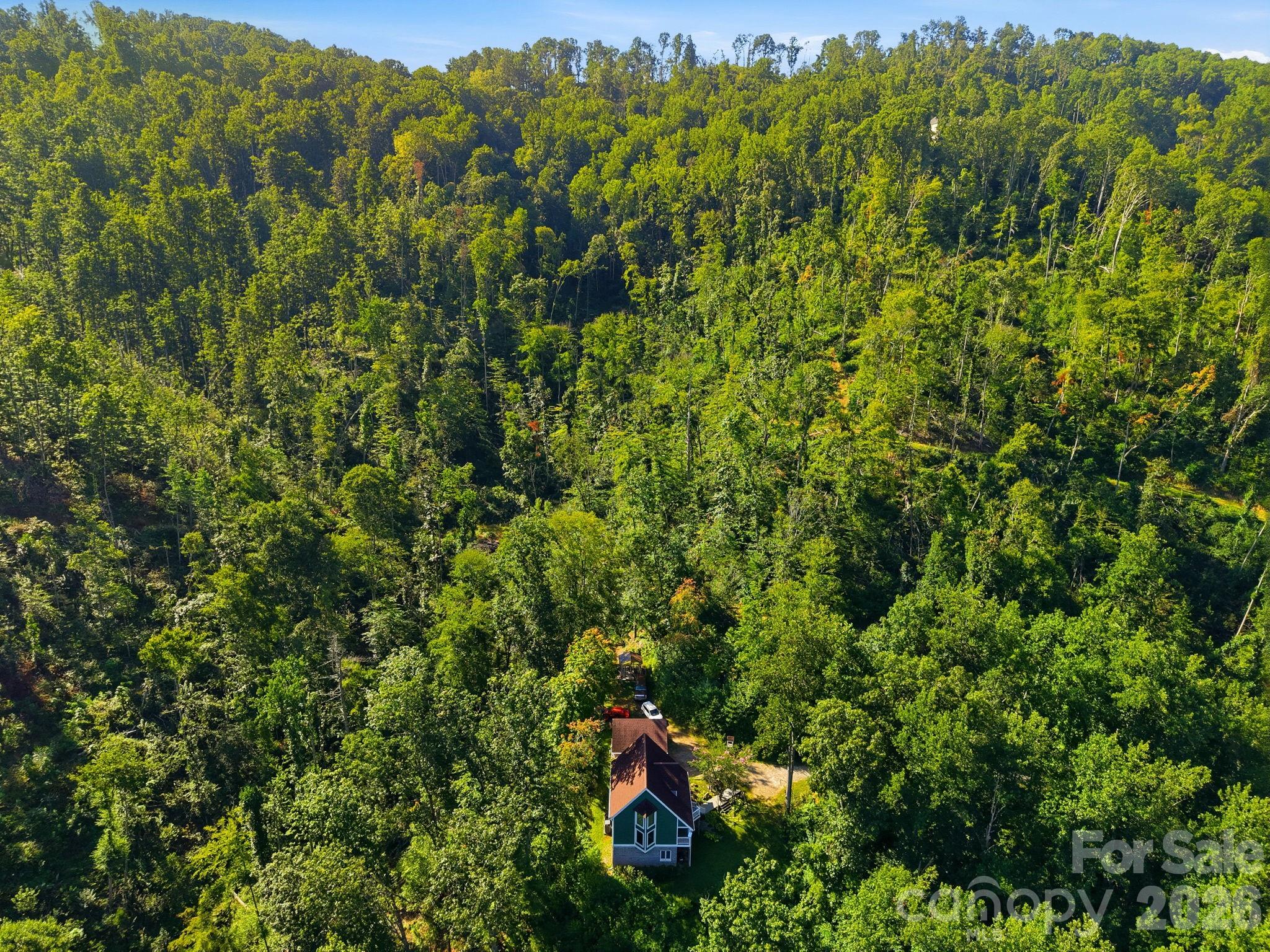 270 Upper Herron Cove Road — Weaverville