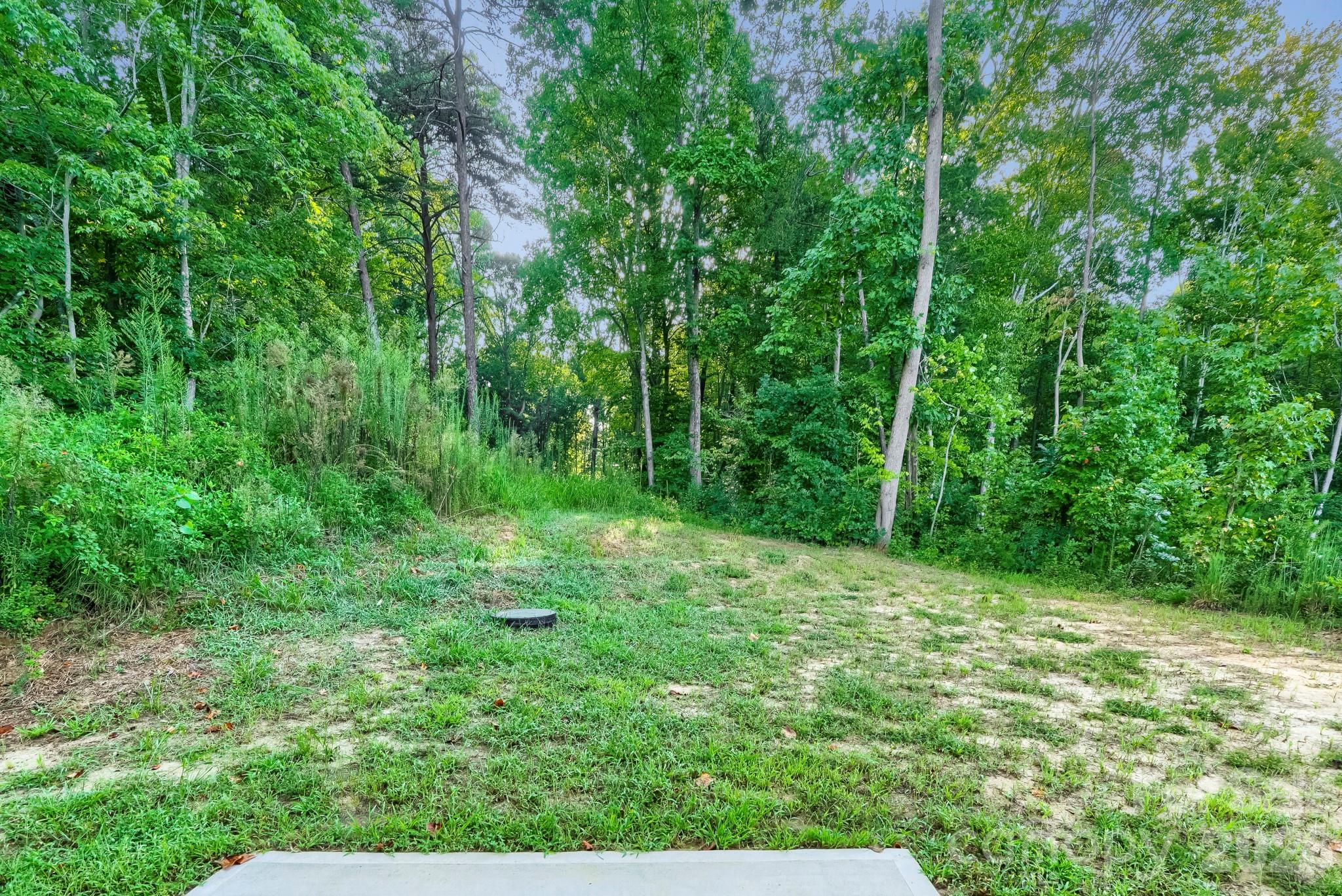 178 E Panther Creek Road — Troutman