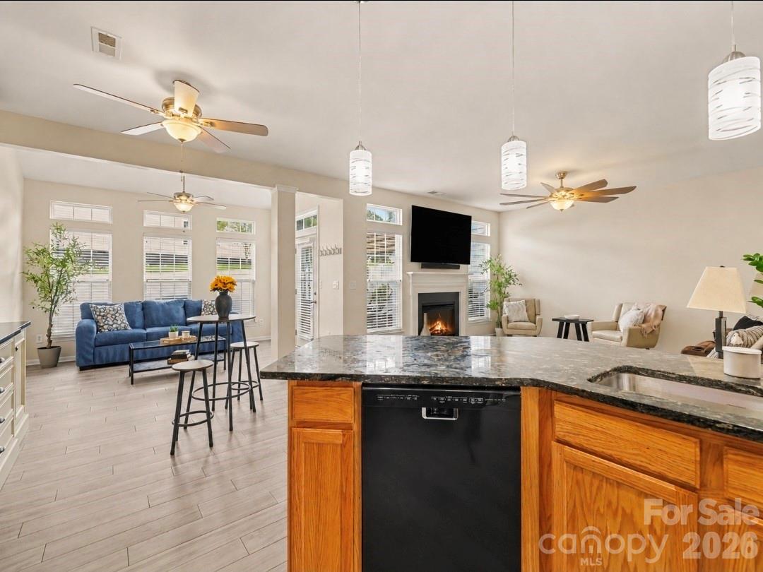 4228 Piccadilly Lane — Indian Land