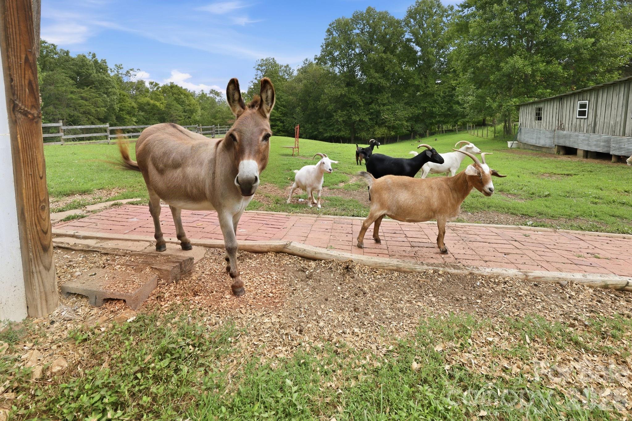 2595 Henderson Mill Road — Morganton