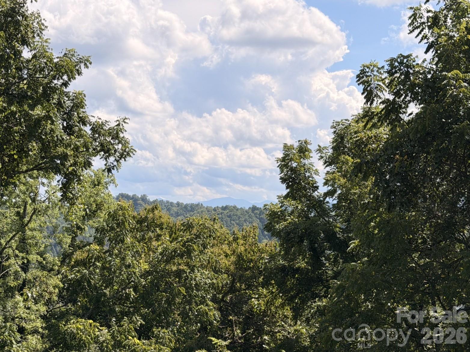1057 Skyway Drive — Marshall