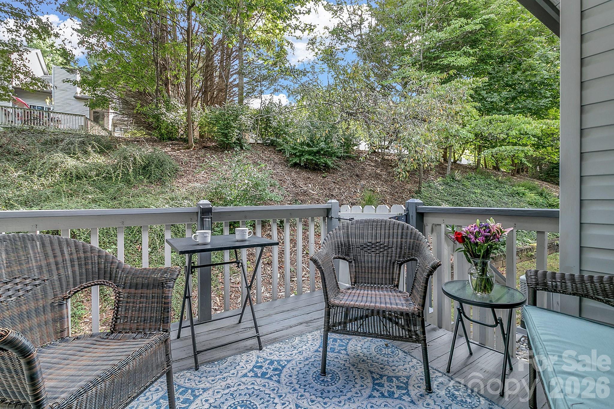 103 Cimarron Drive — Asheville