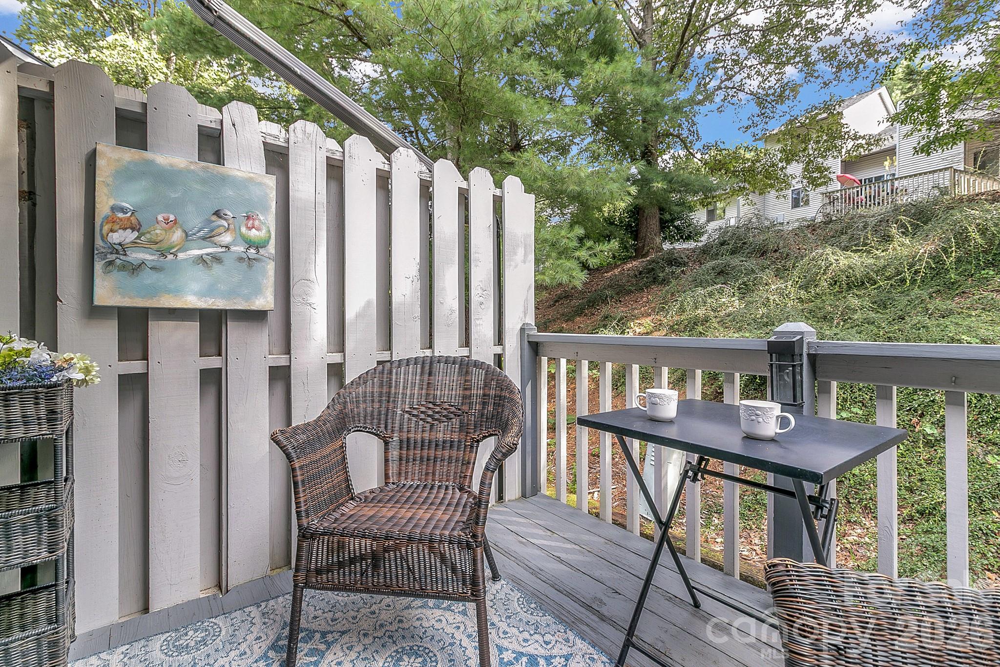 103 Cimarron Drive — Asheville