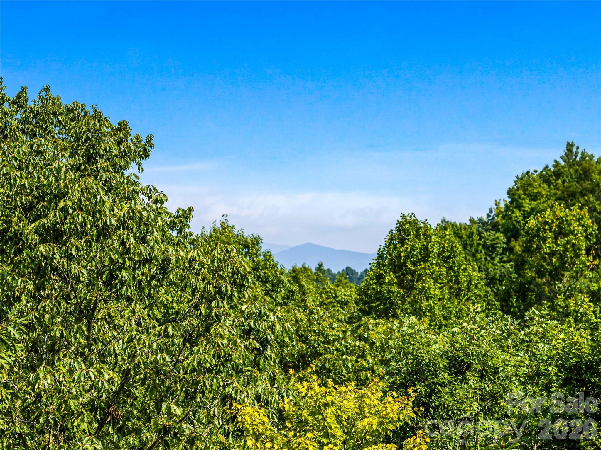 123 Isuhdavga Court — Brevard