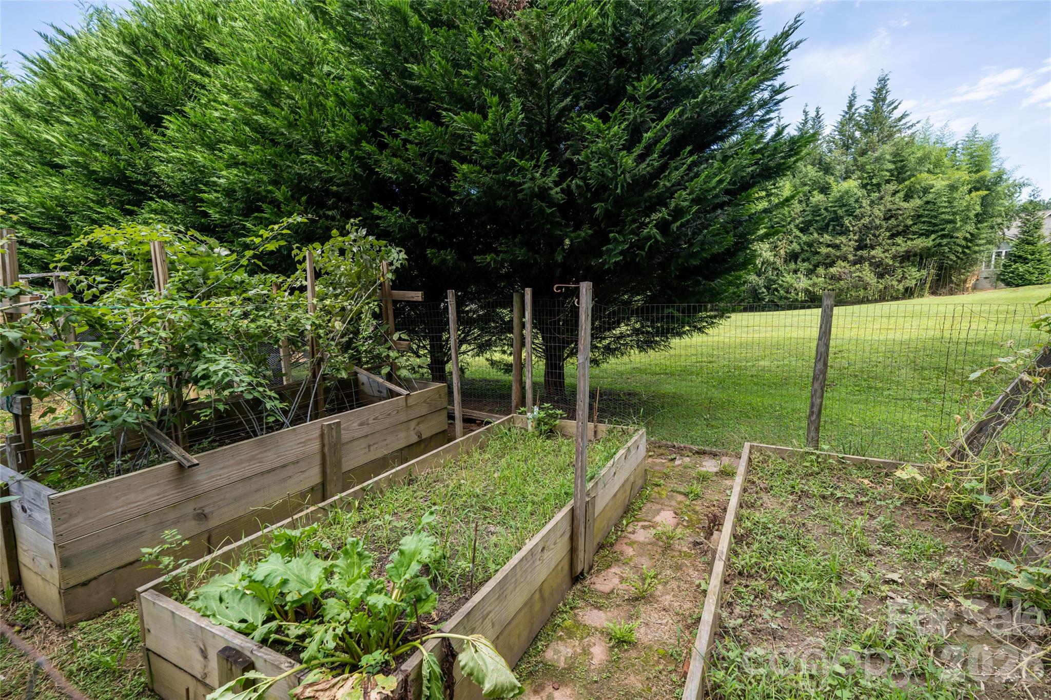 40 Meadow Drive — Horse Shoe