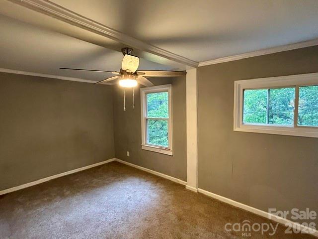62 Kinard Lane — Penrose