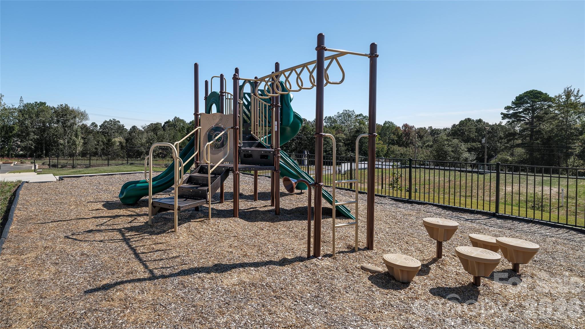 15028 Murrelet Way — Charlotte