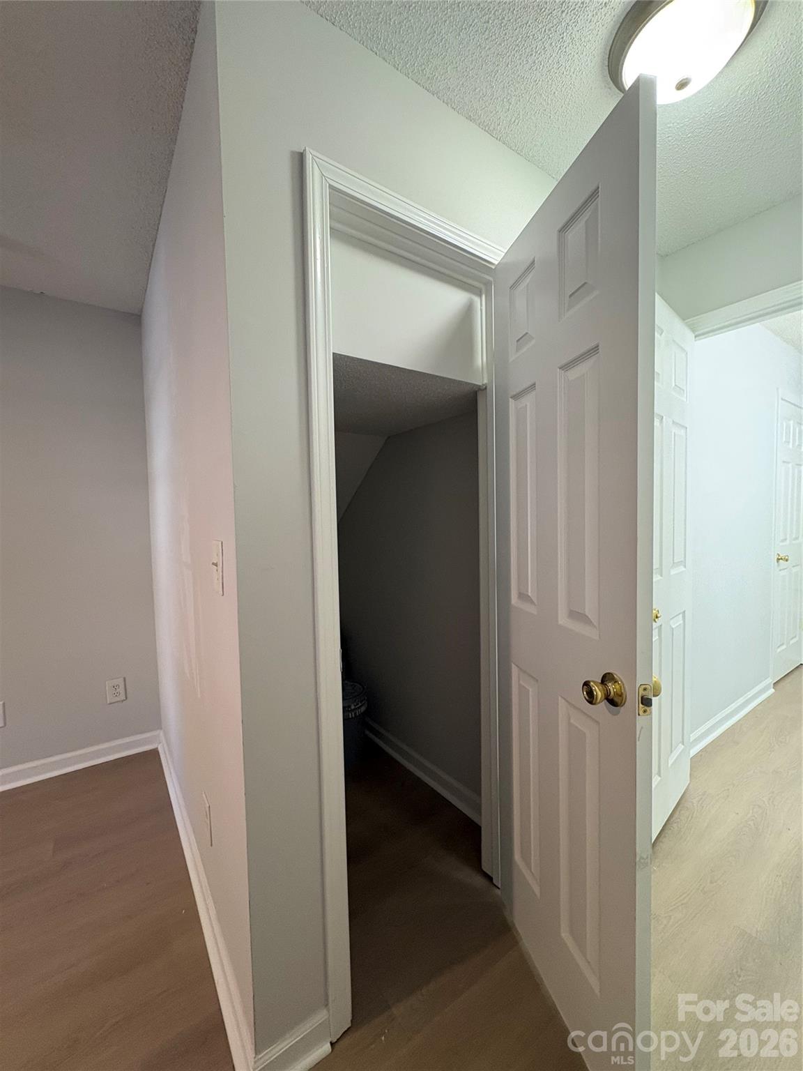 11586 Briddle Hall Court — Charlotte