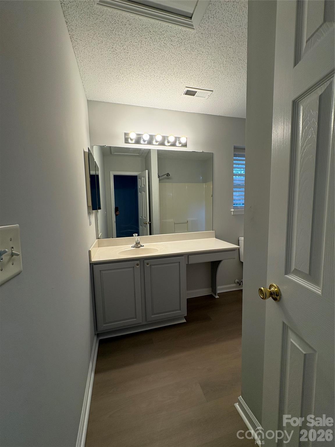 11586 Briddle Hall Court — Charlotte
