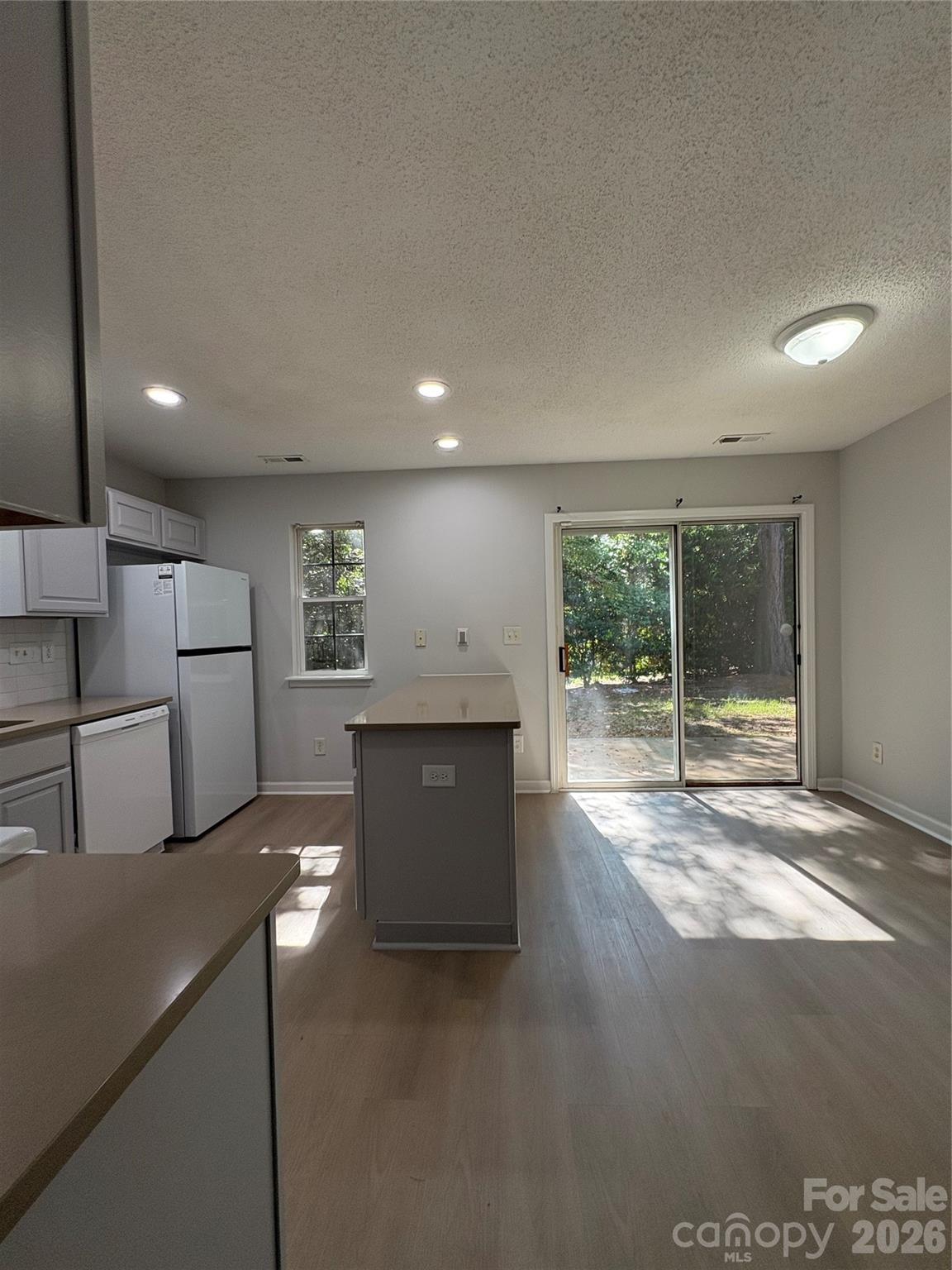 11586 Briddle Hall Court — Charlotte