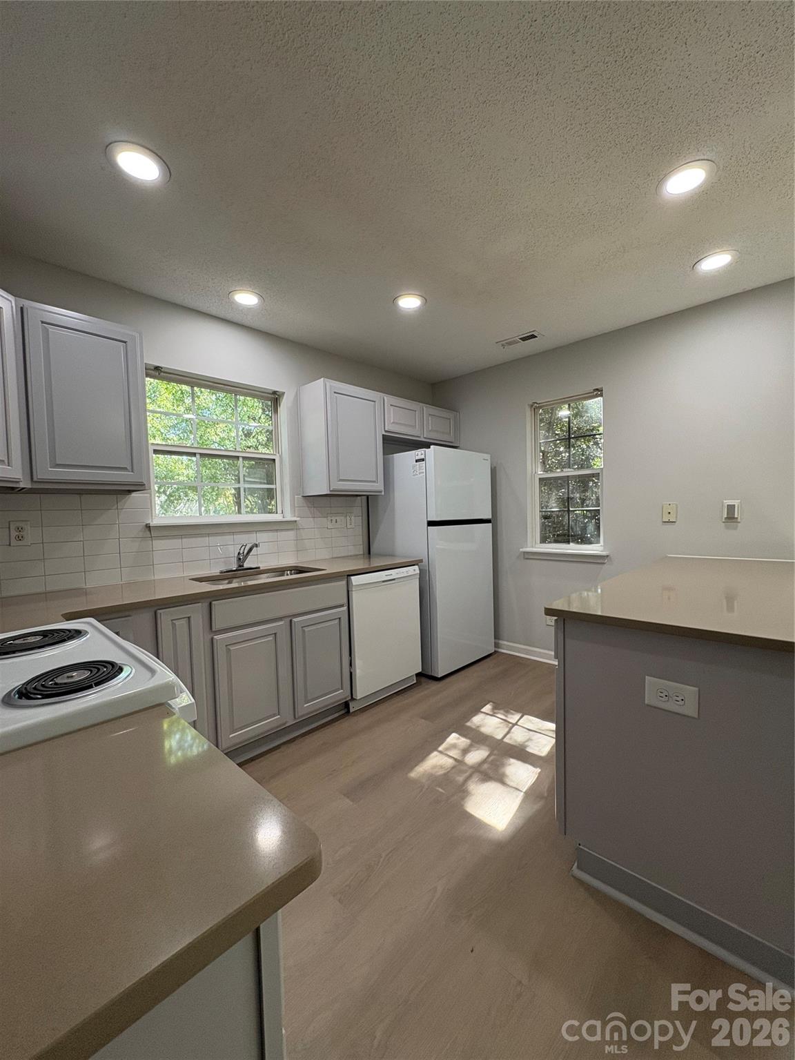 11586 Briddle Hall Court — Charlotte