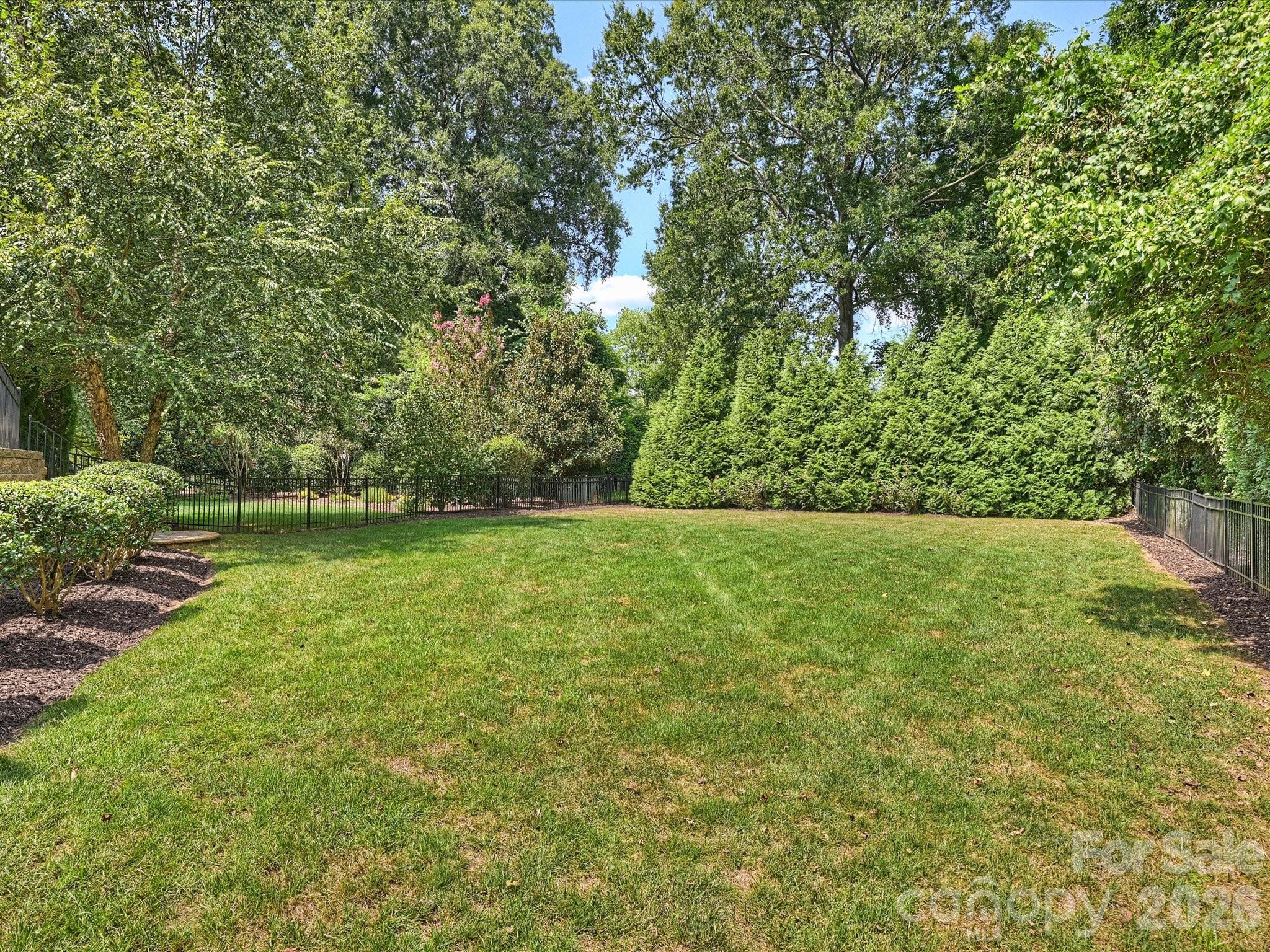 516 Hillside Avenue — Charlotte