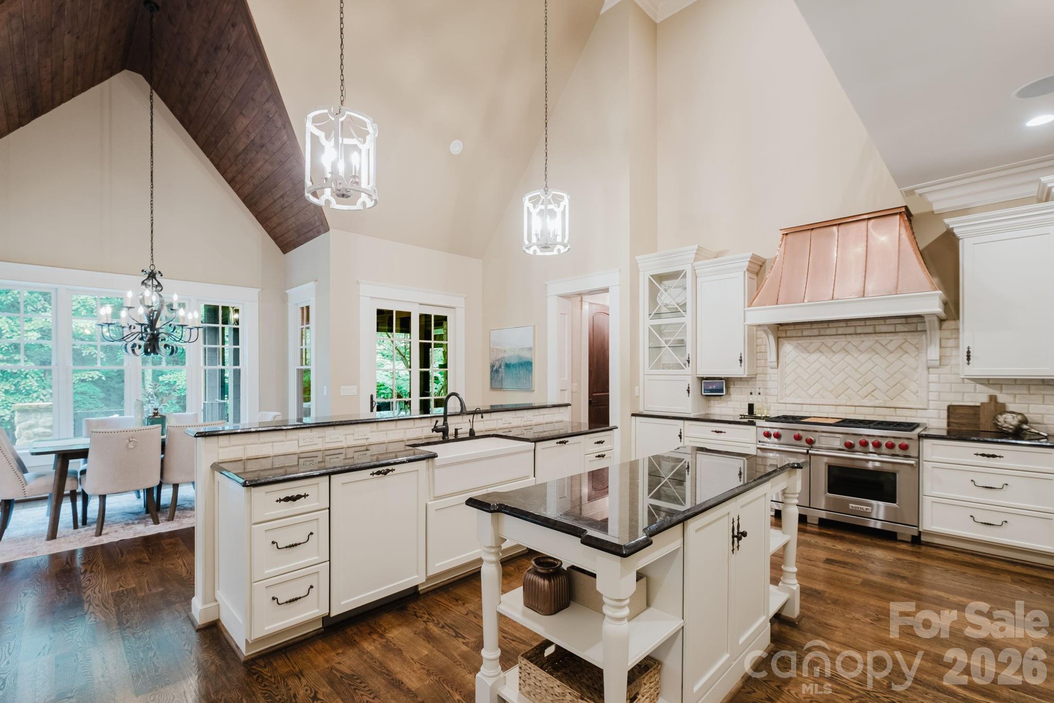 10930 Green Heron Court — Charlotte