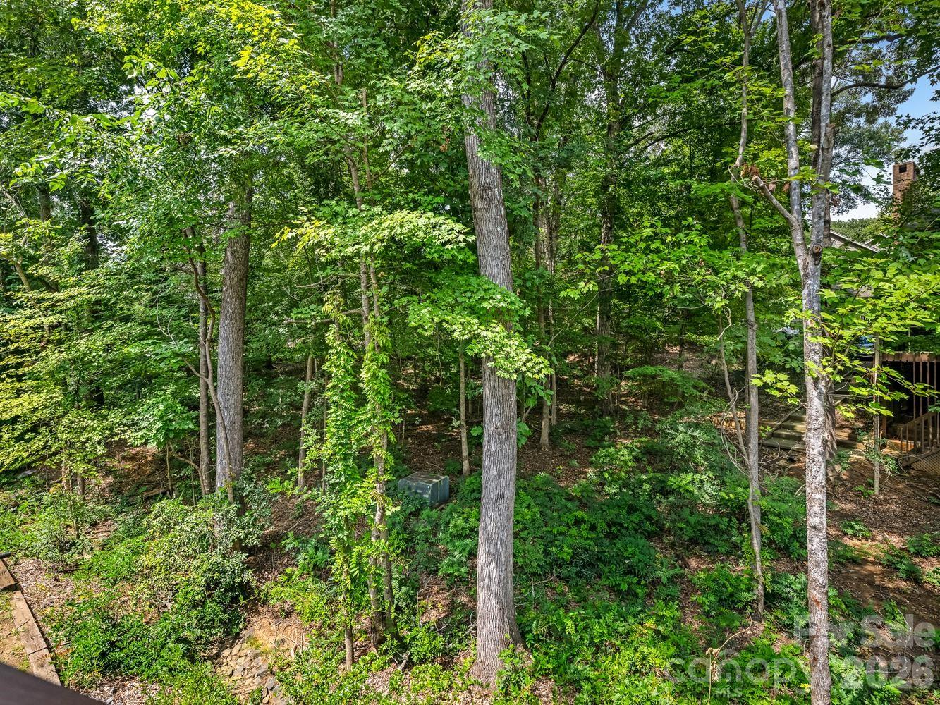 6504 Racquet Wood Court — Charlotte