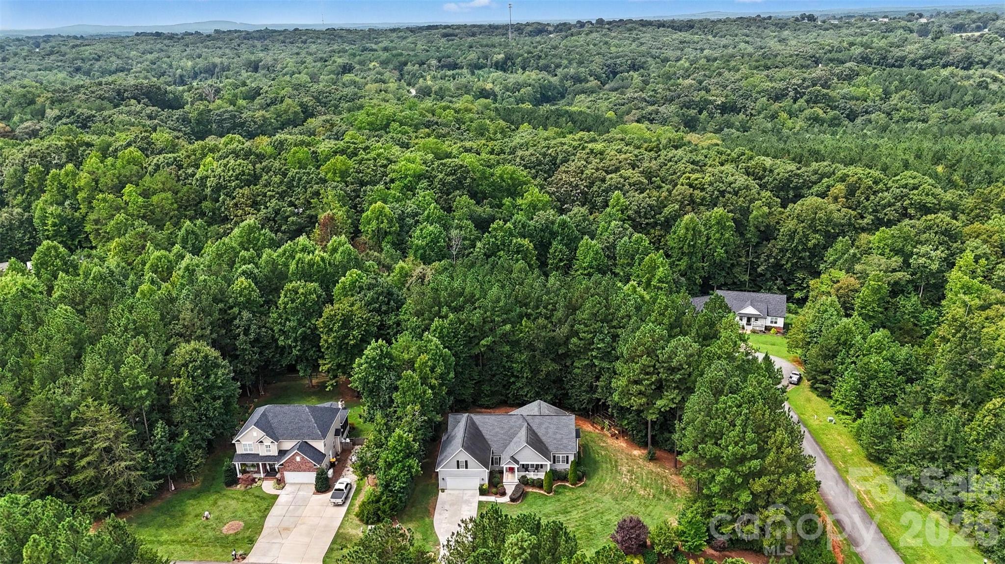 3396 Long Cedar Lane — Alexis