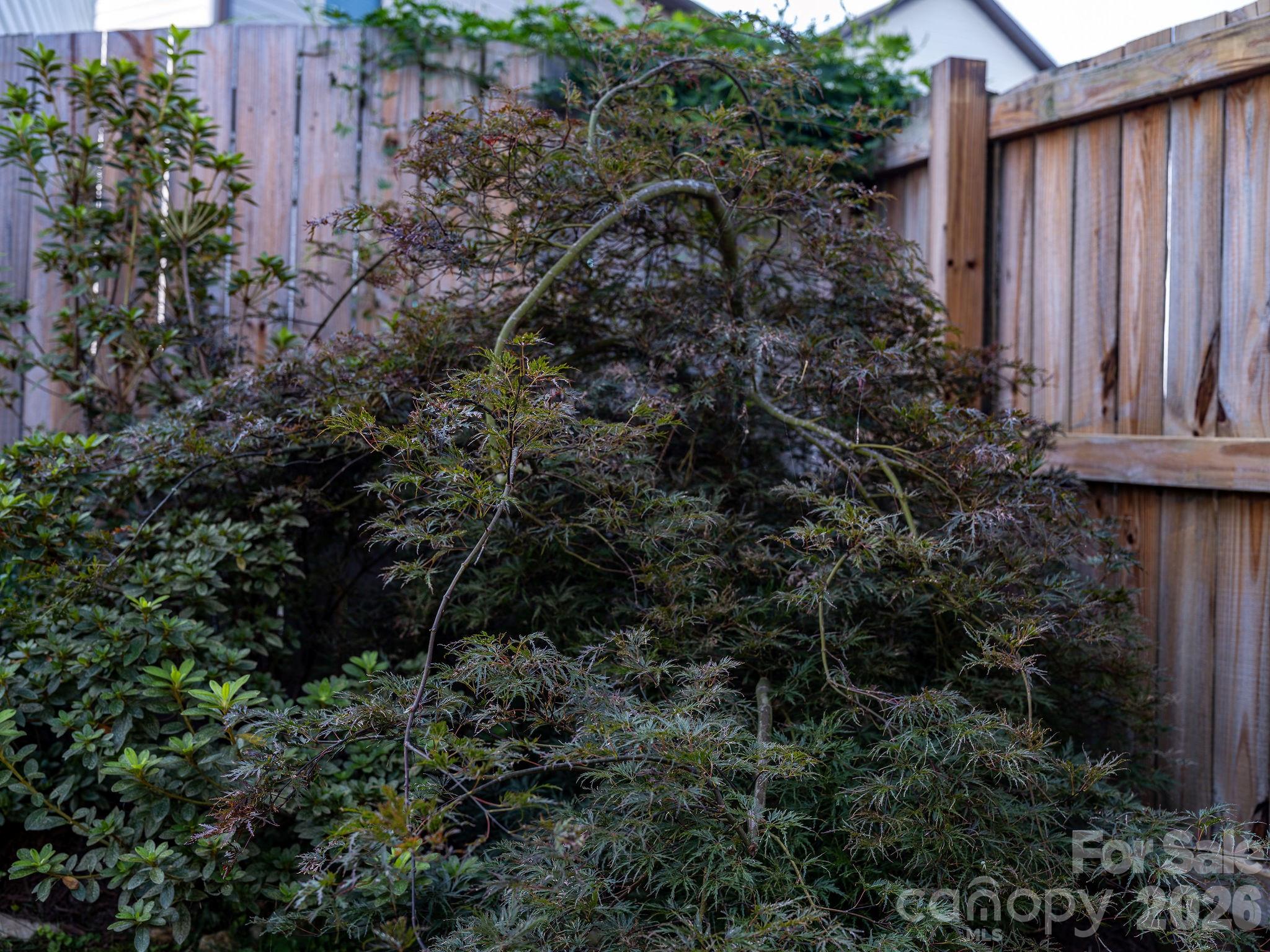 738 Cardwell Lane — Fletcher