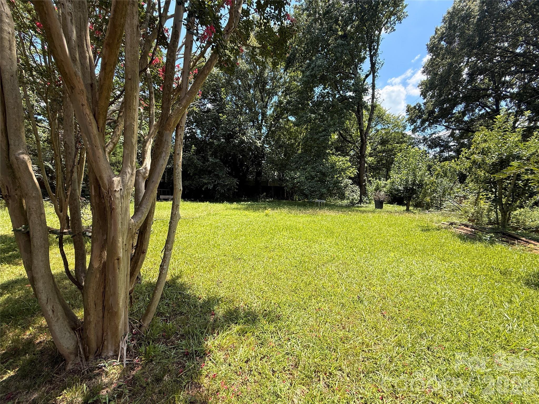 4310 Gillespie Court — Charlotte