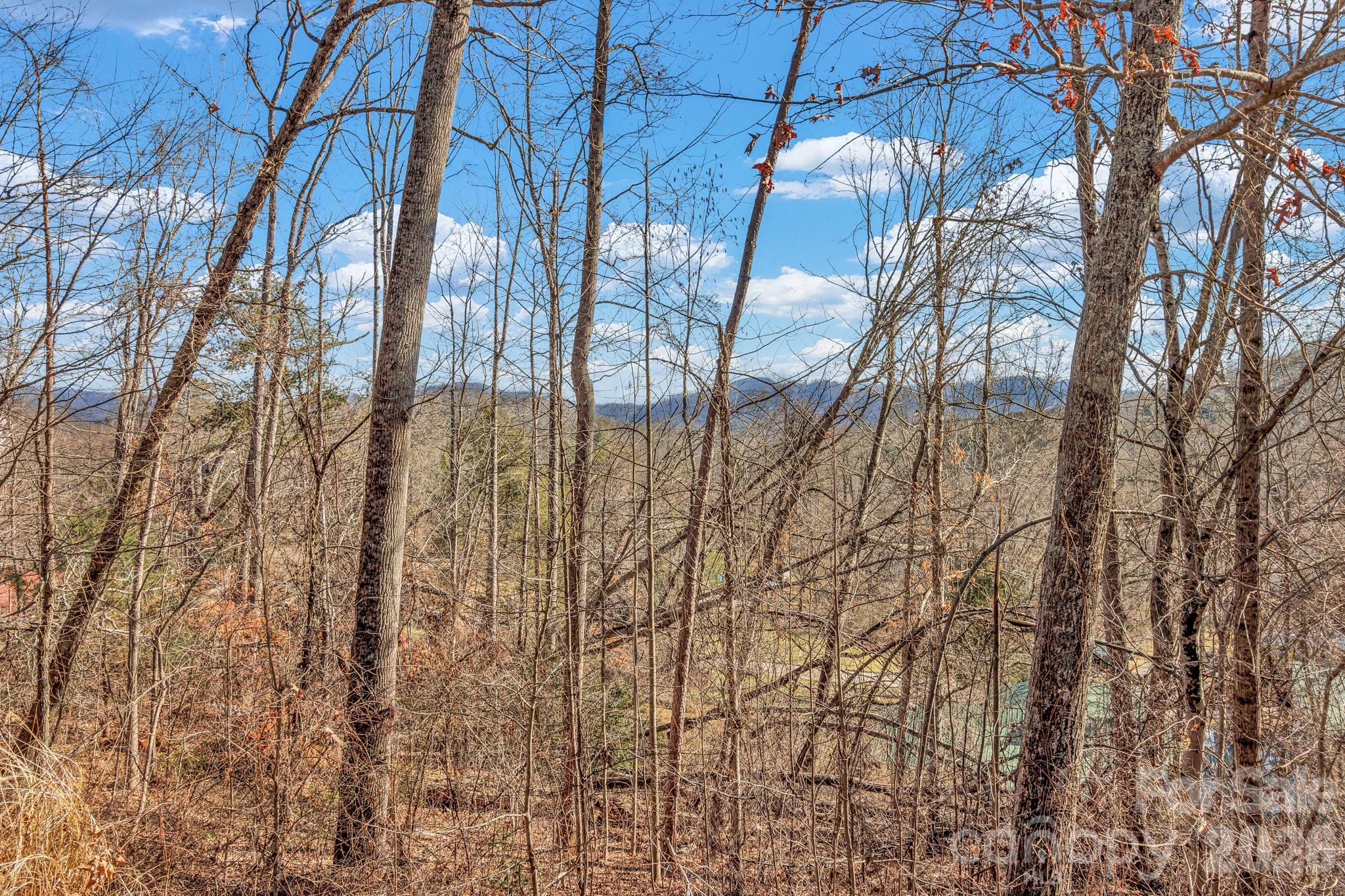 30 Pinners Cove Road — Asheville