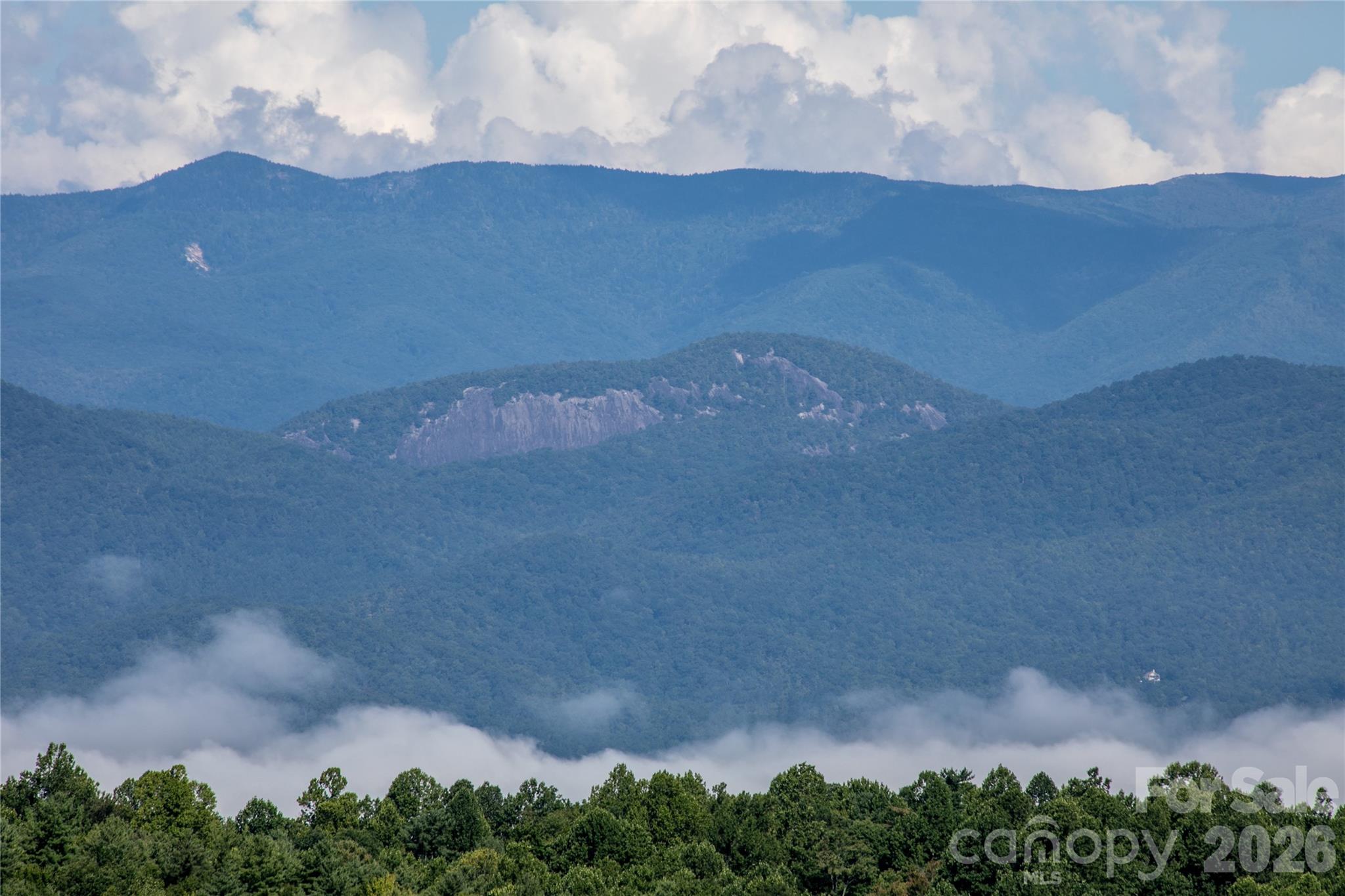 74 Walnut Ridge Lane — Brevard