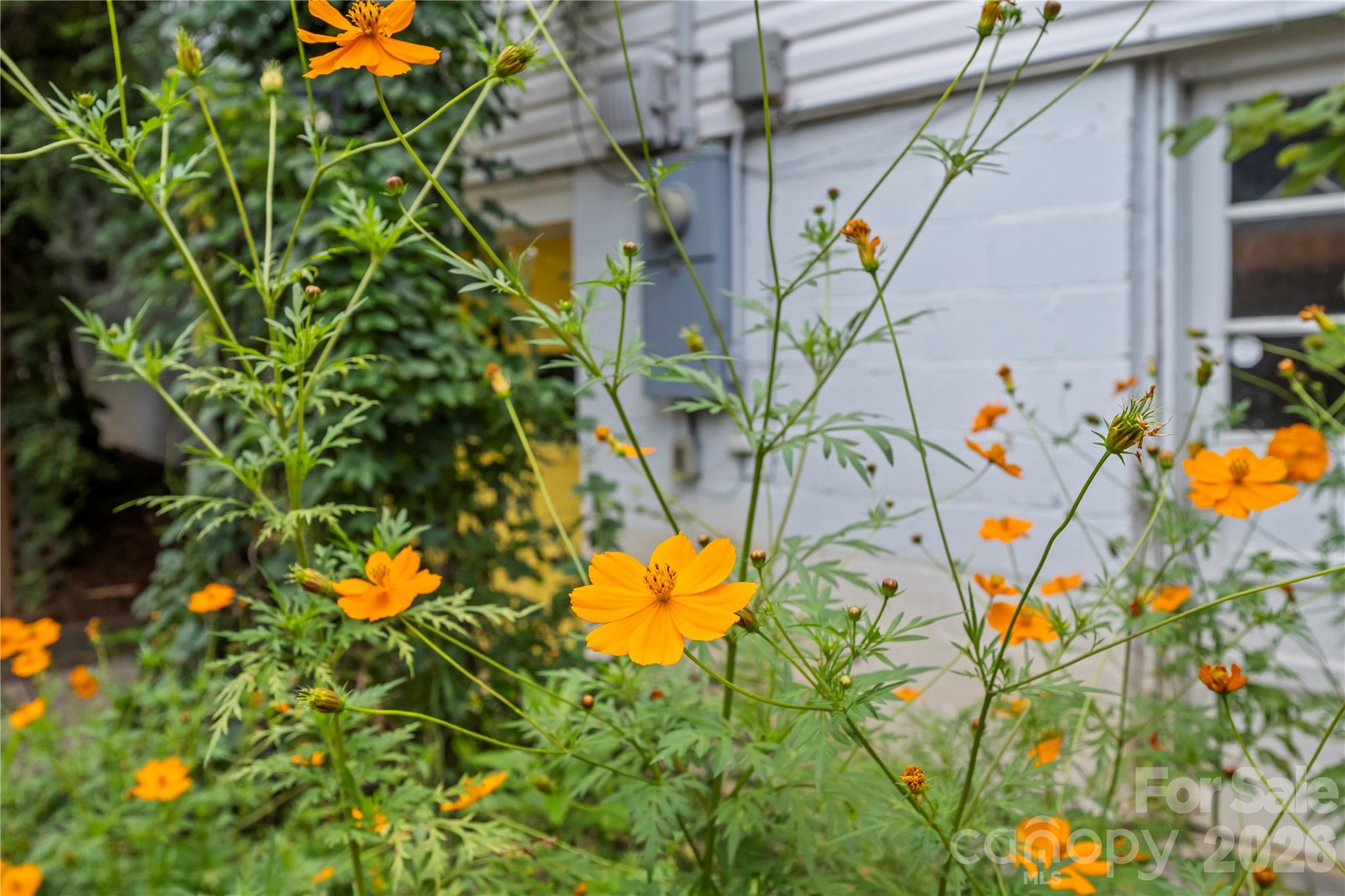 2 Bostic Place — Asheville