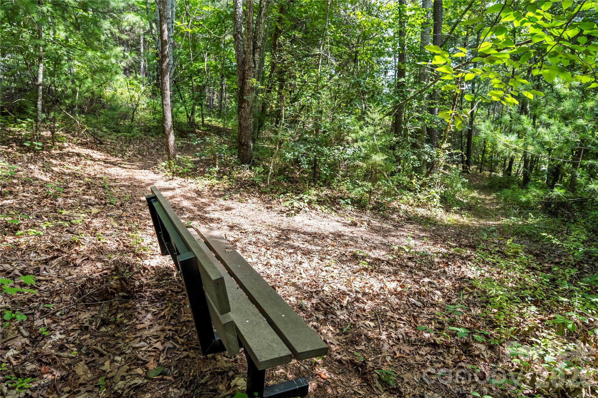 16 Vance Cemetery Road — Weaverville