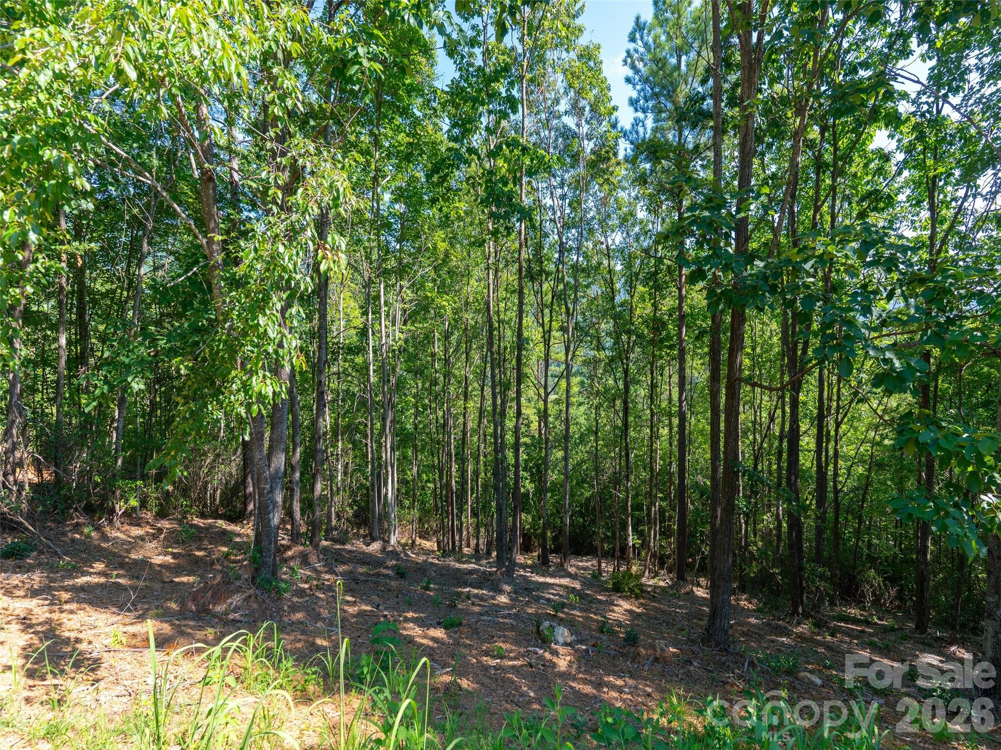 2026 Deep Gap Farm Road E — Mill Spring
