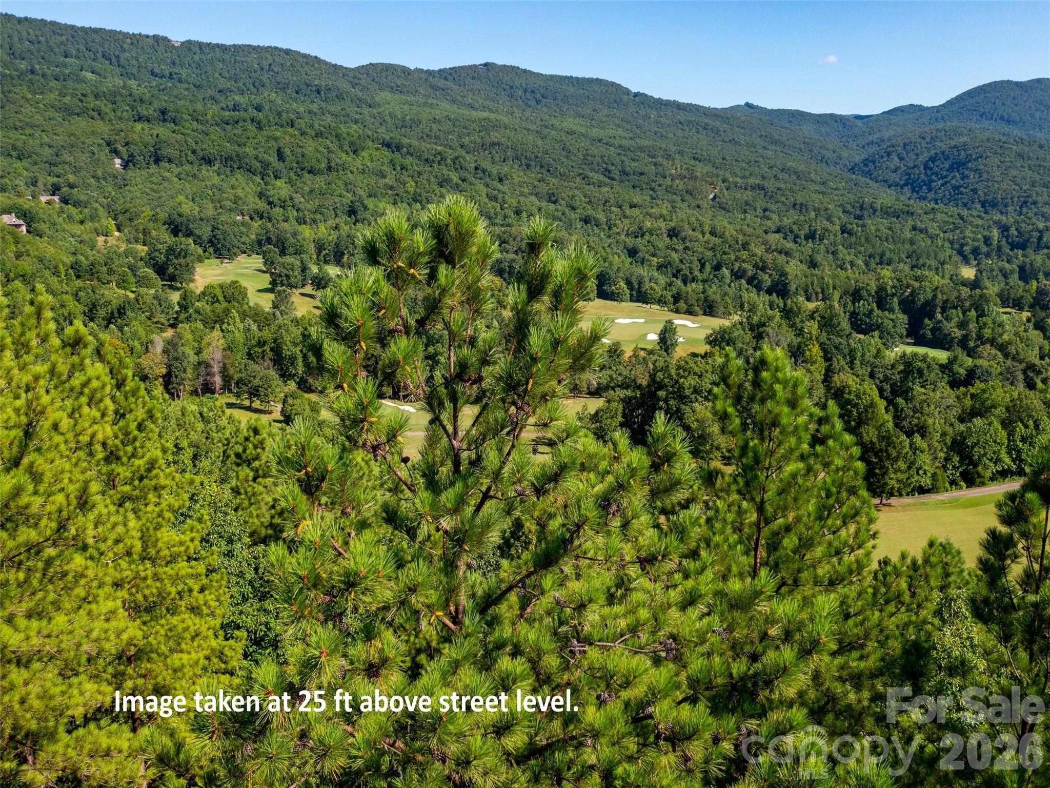 2026 Deep Gap Farm Road E — Mill Spring