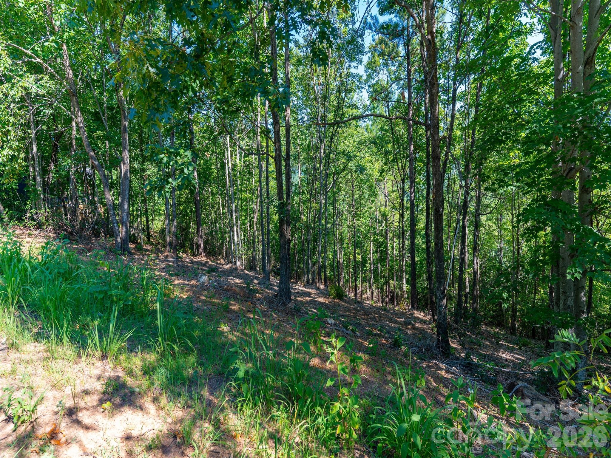 2026 Deep Gap Farm Road E — Mill Spring
