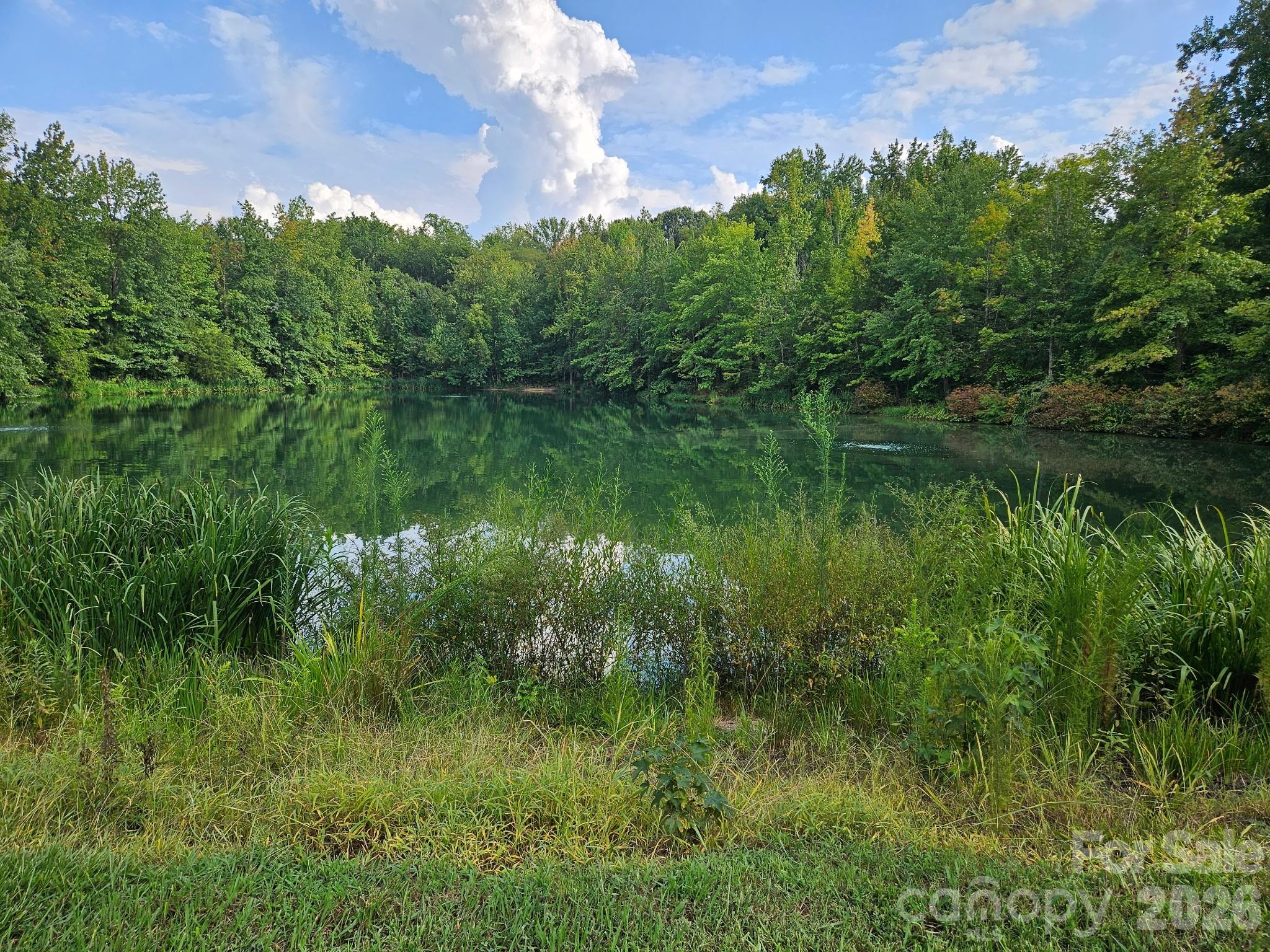 7420 Edgefield Court — Matthews