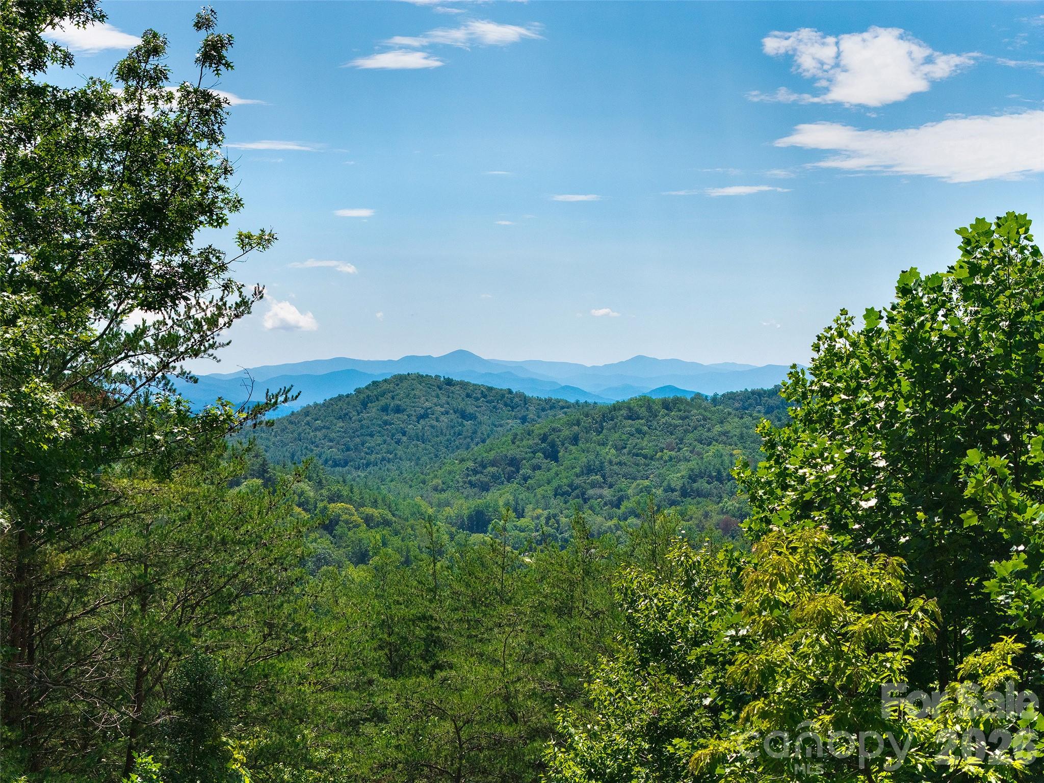 225 Long Branch Road — Swannanoa