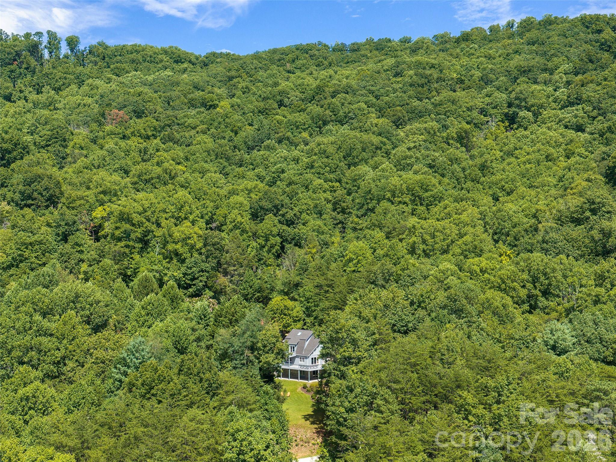 225 Long Branch Road — Swannanoa