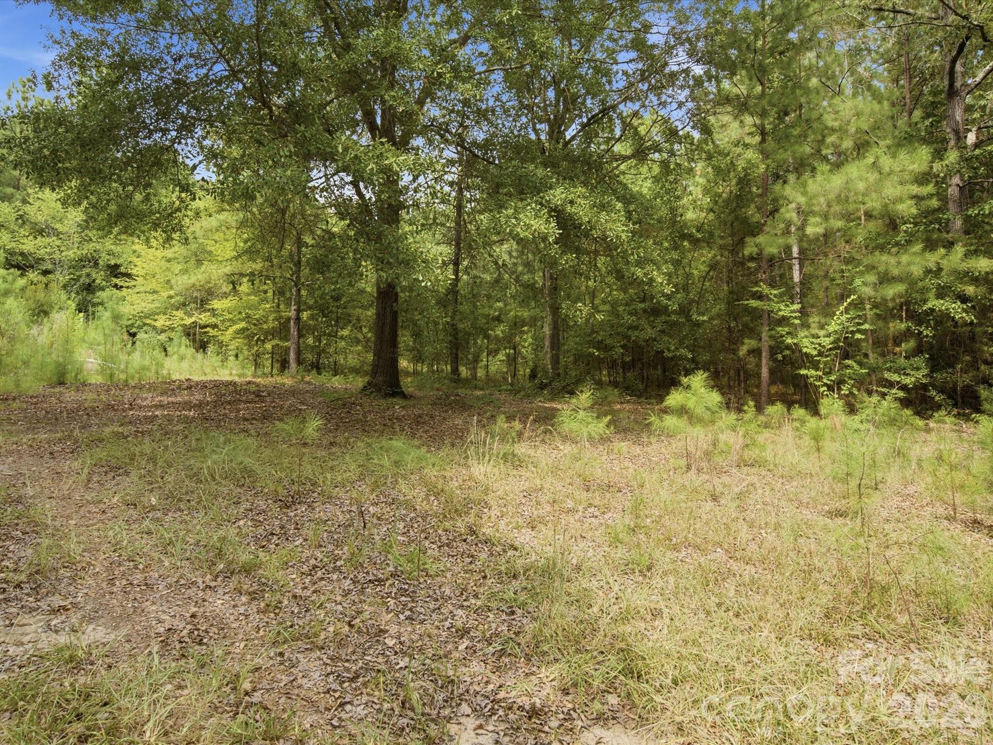 2625/2655 Pleasant Road — Fort Mill