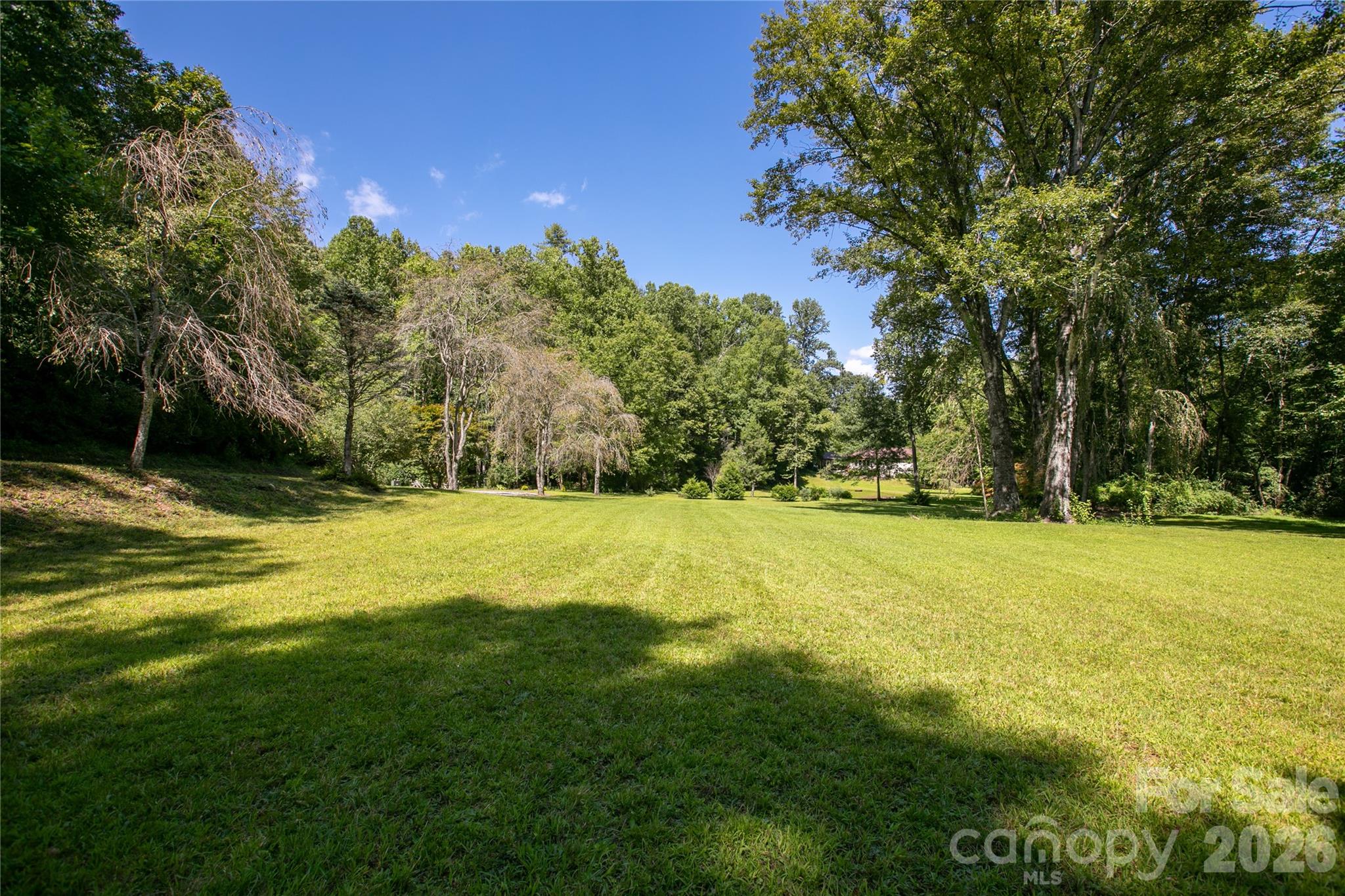 144 Laurel Creek — Cedar Mountain