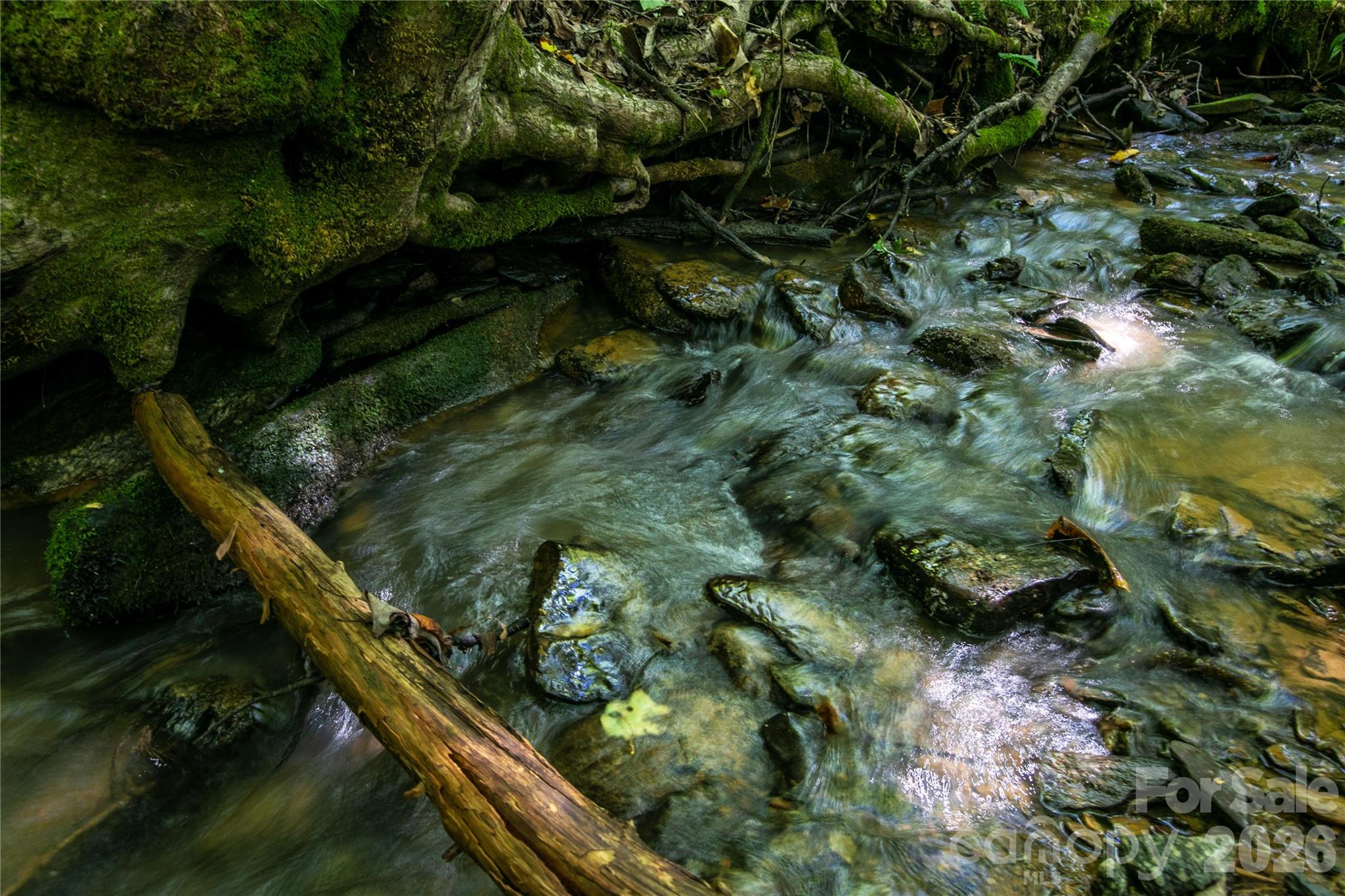 144 Laurel Creek — Cedar Mountain