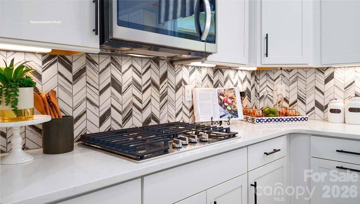 2887 Atwater Pond Circle — Denver