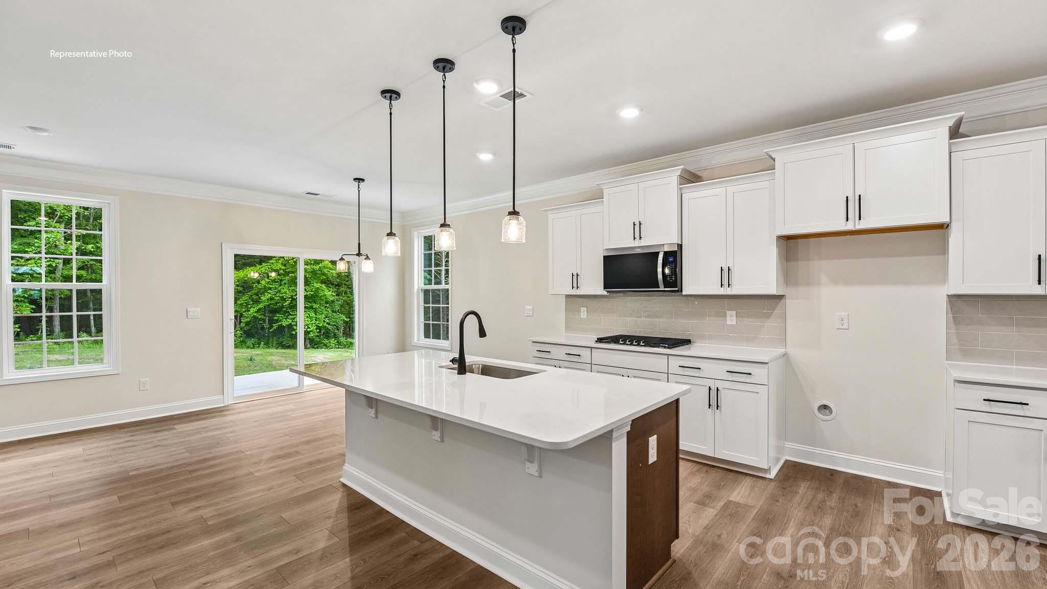 2863 Atwater Pond Circle — Denver