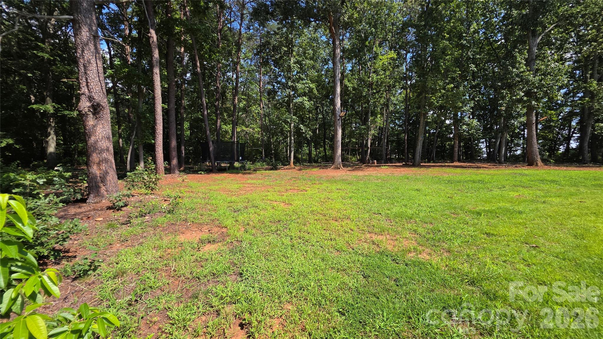 3552 Waterview Trail — Lincolnton