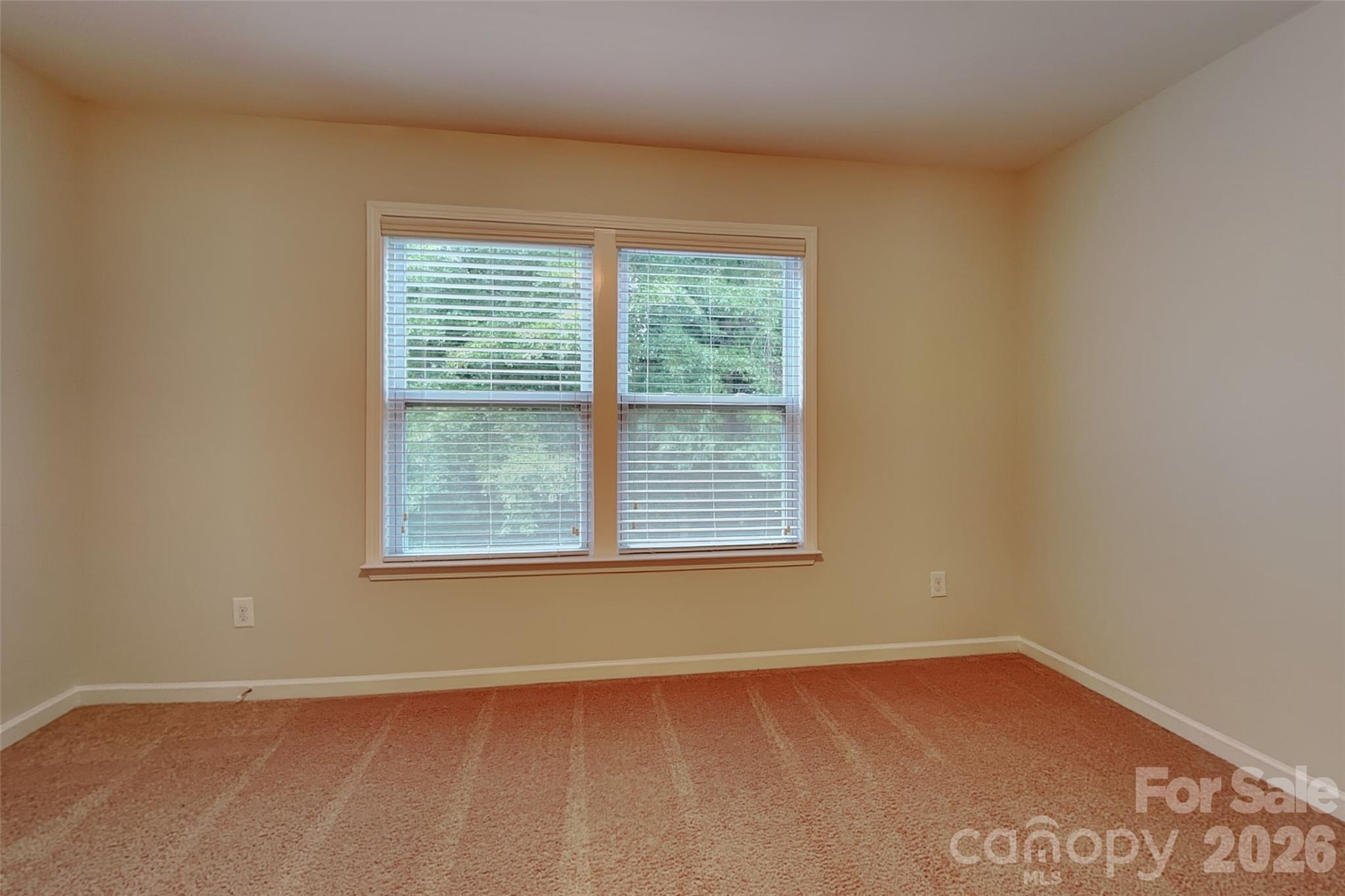3058 Amaranth Drive — Fort Mill
