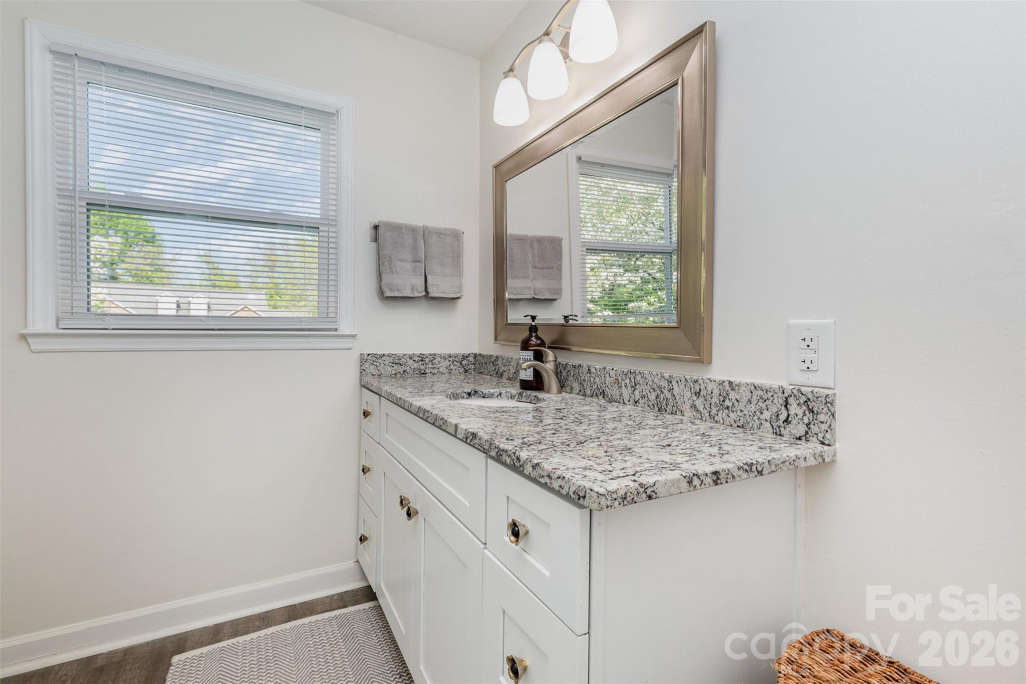 1041 Brawley School Road — Mooresville