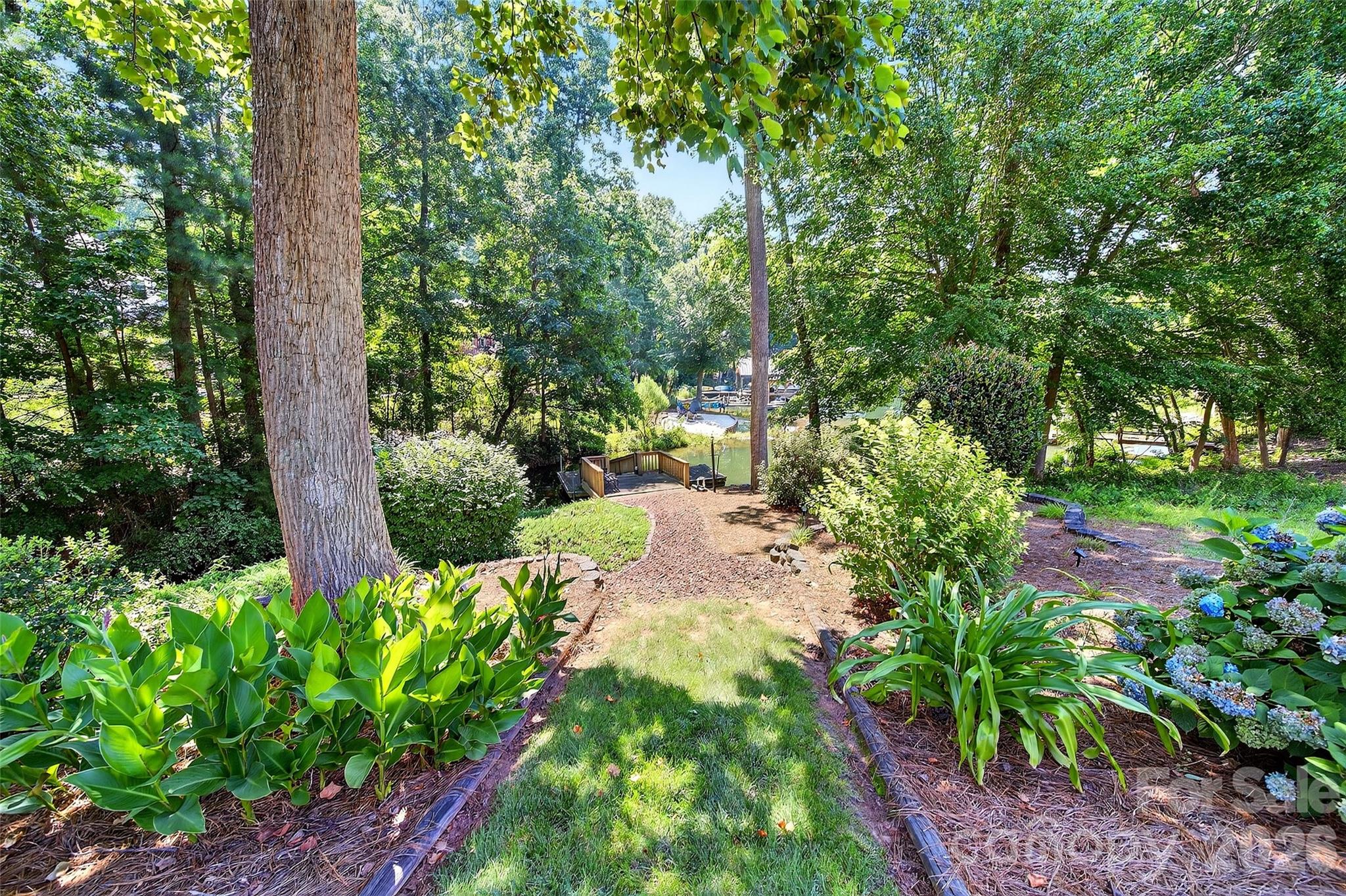 3574 Live Oaks Avenue — Terrell