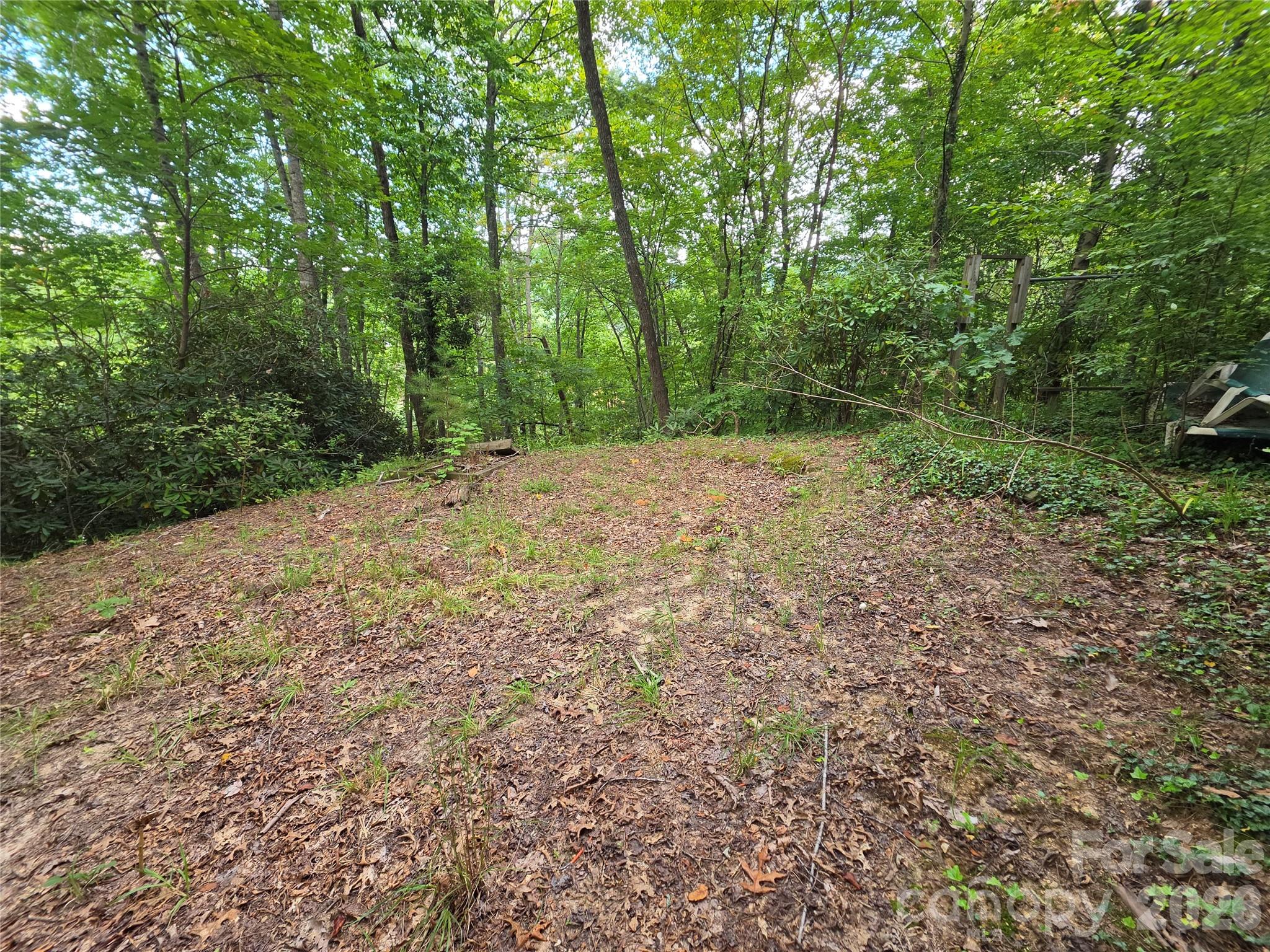 40 Gunches Dirt Road — Candler