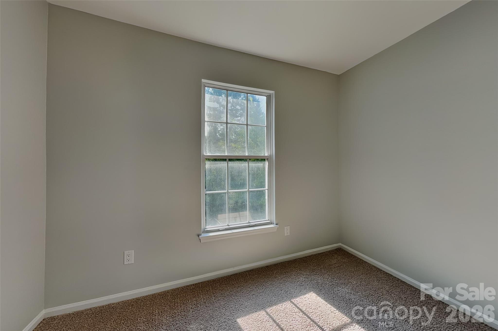 9428 White Cedar Court — Charlotte