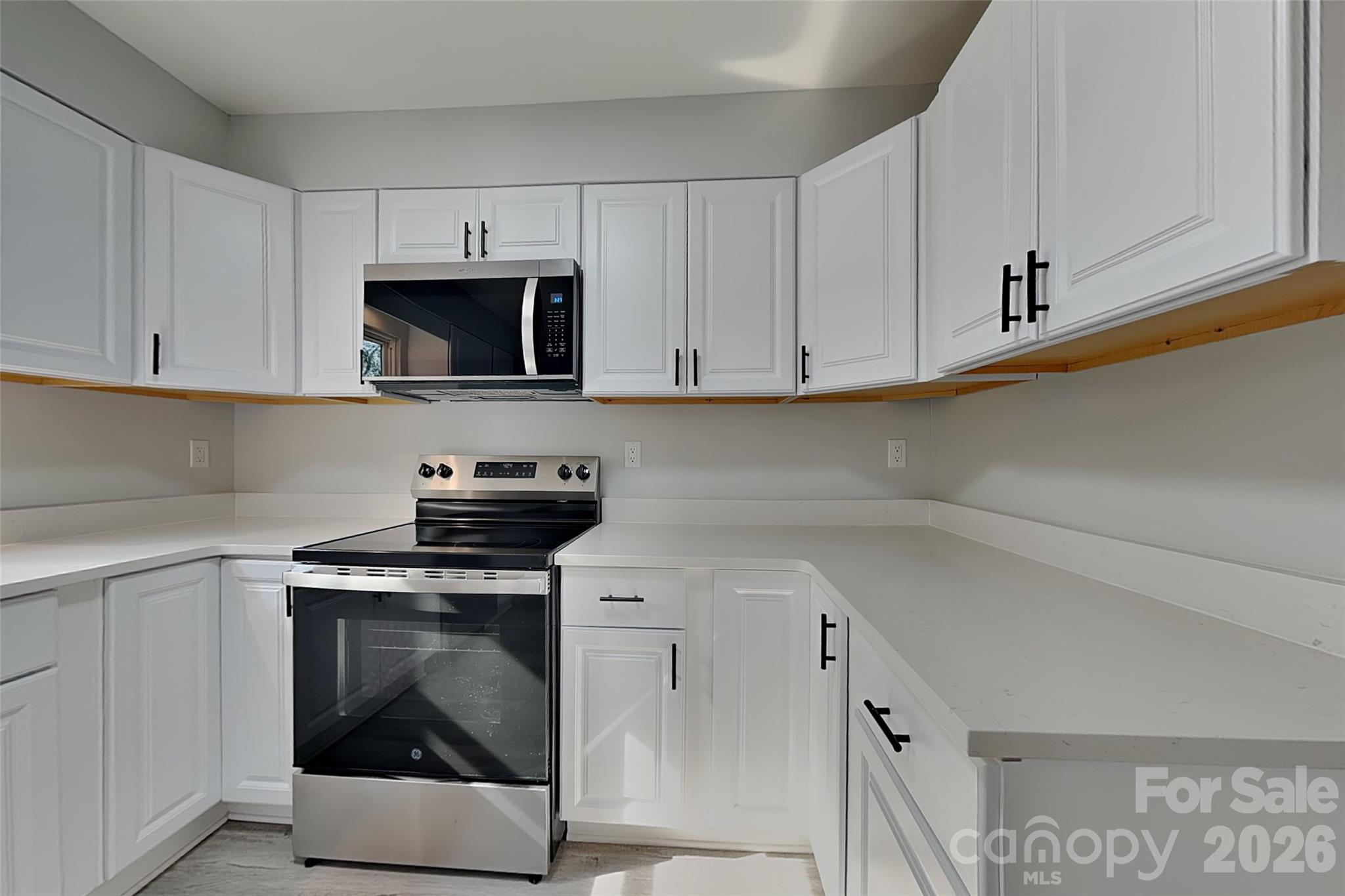9428 White Cedar Court — Charlotte