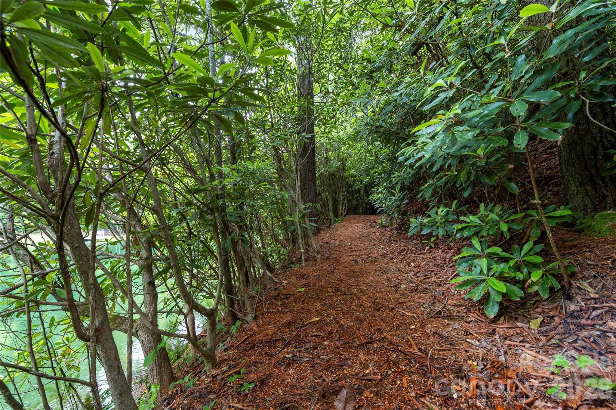 68 Huckleberry Ridge Lane — Zirconia