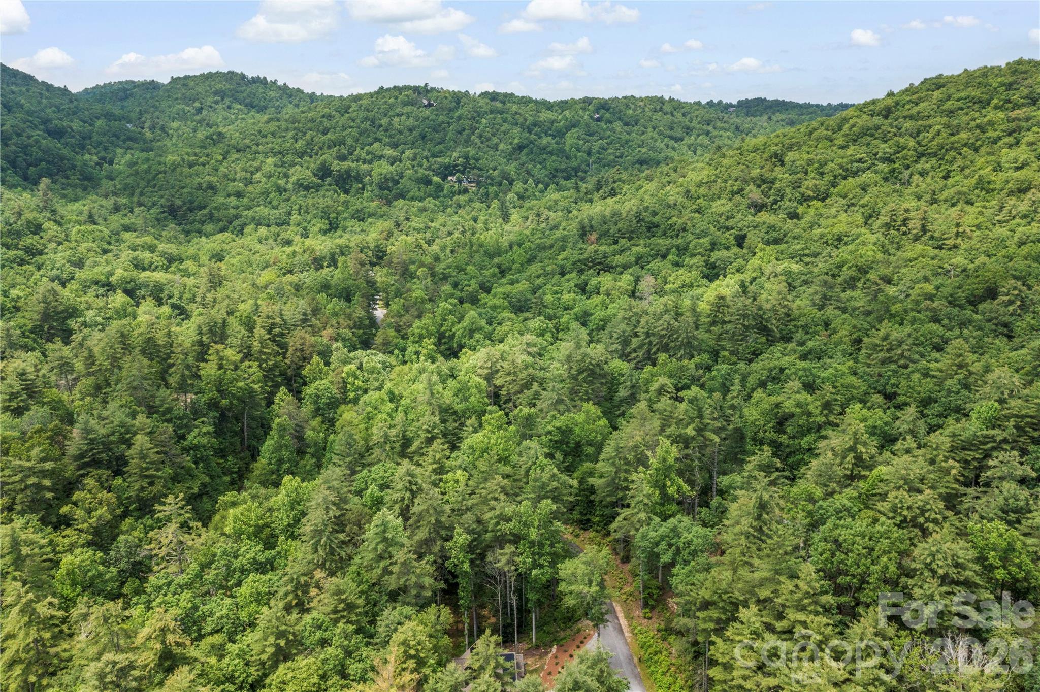 68 Huckleberry Ridge Lane — Zirconia