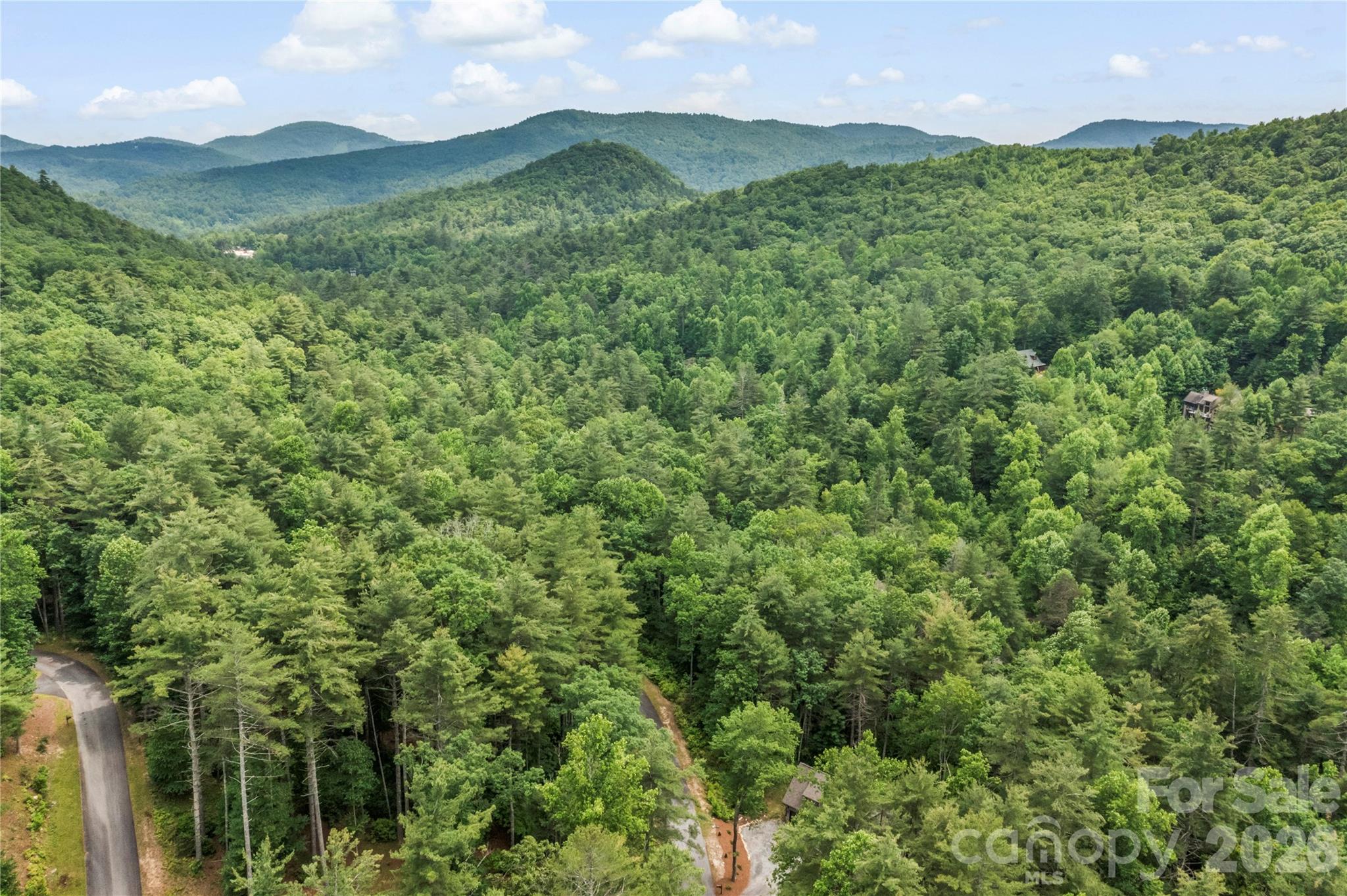 68 Huckleberry Ridge Lane — Zirconia