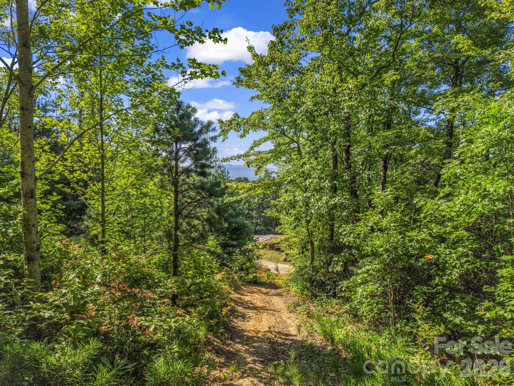 557 Sutton Mountain Ridge — Pisgah Forest