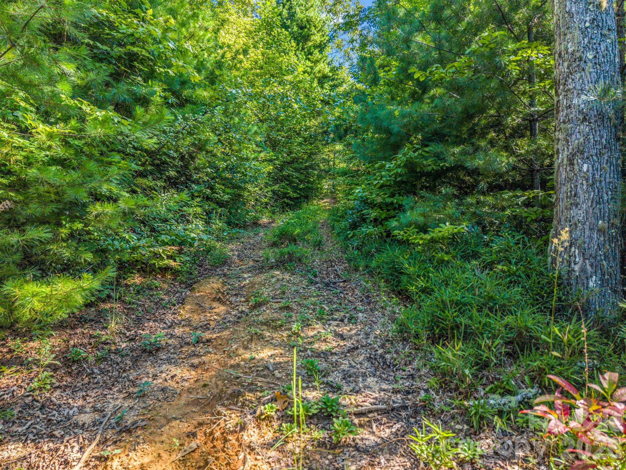 557 Sutton Mountain Ridge — Pisgah Forest